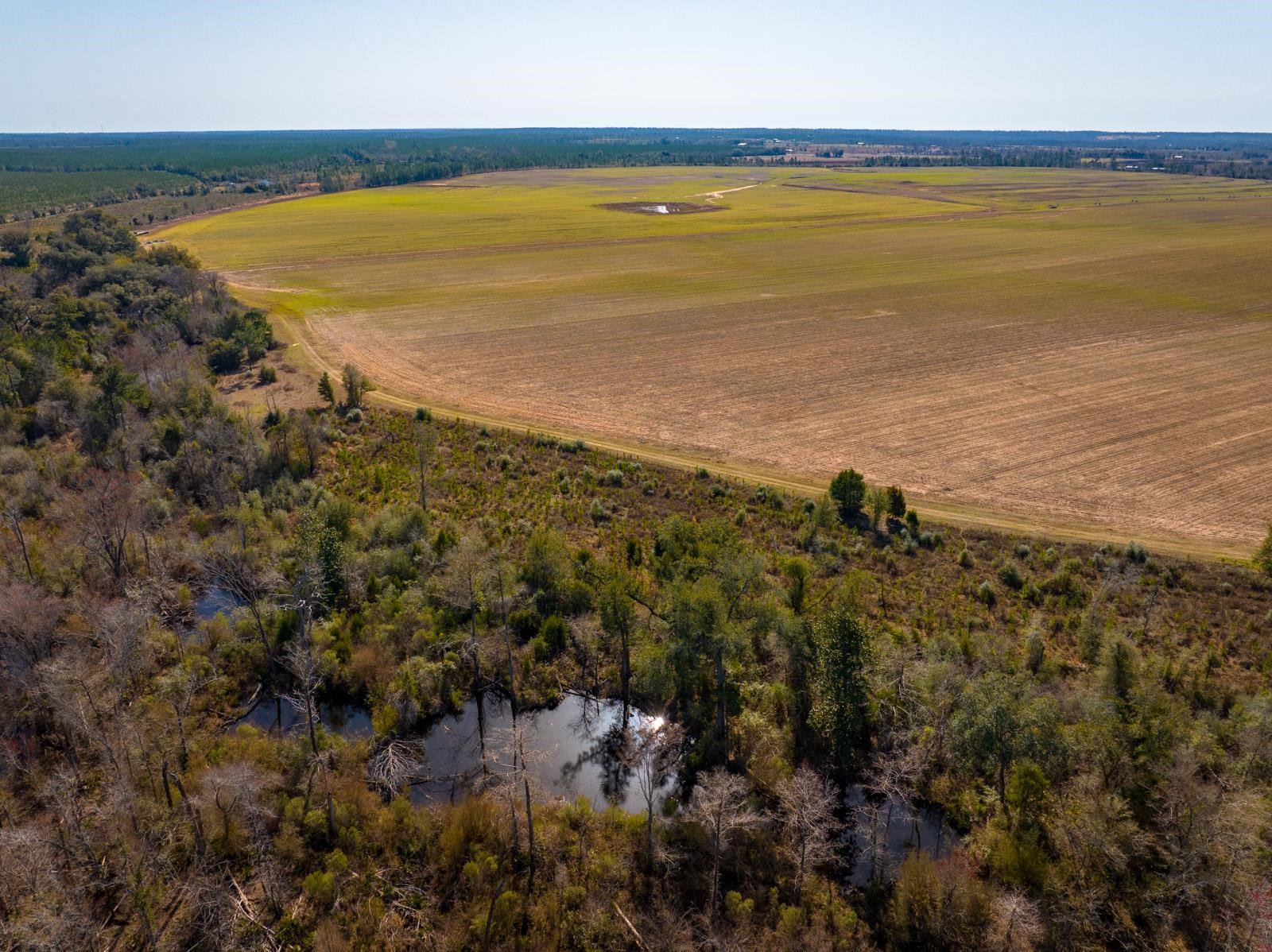 XXXX Rocky Creek Road, Marianna, Florida image 7