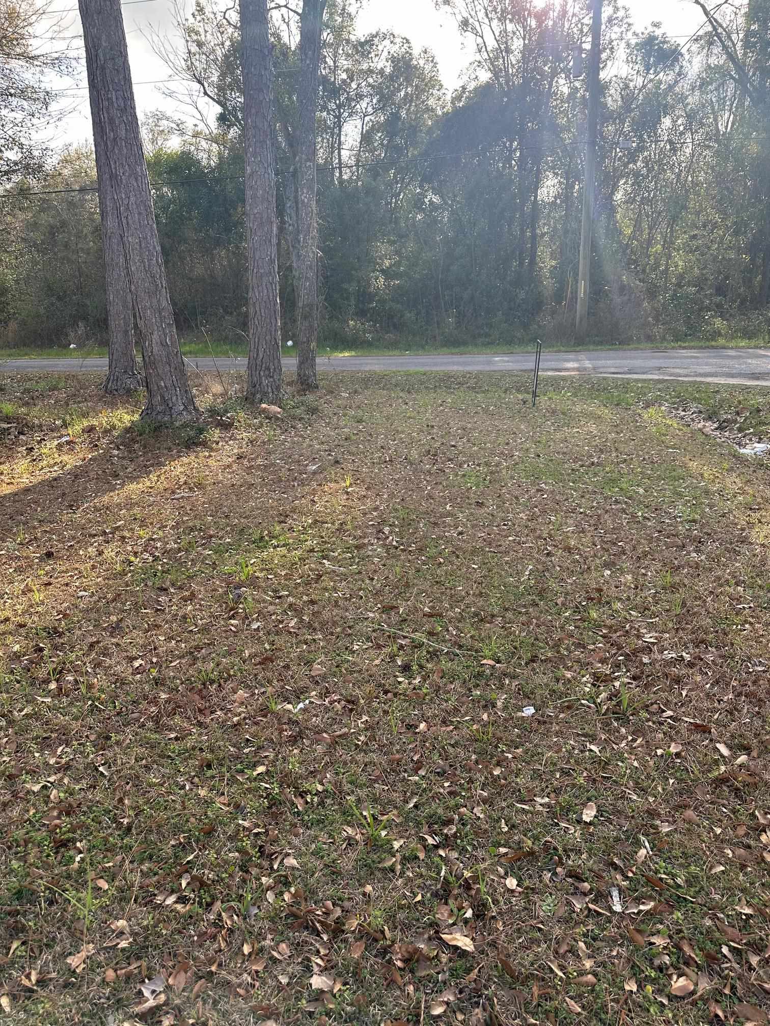 XX Railroad Street, Gretna, Florida image 1