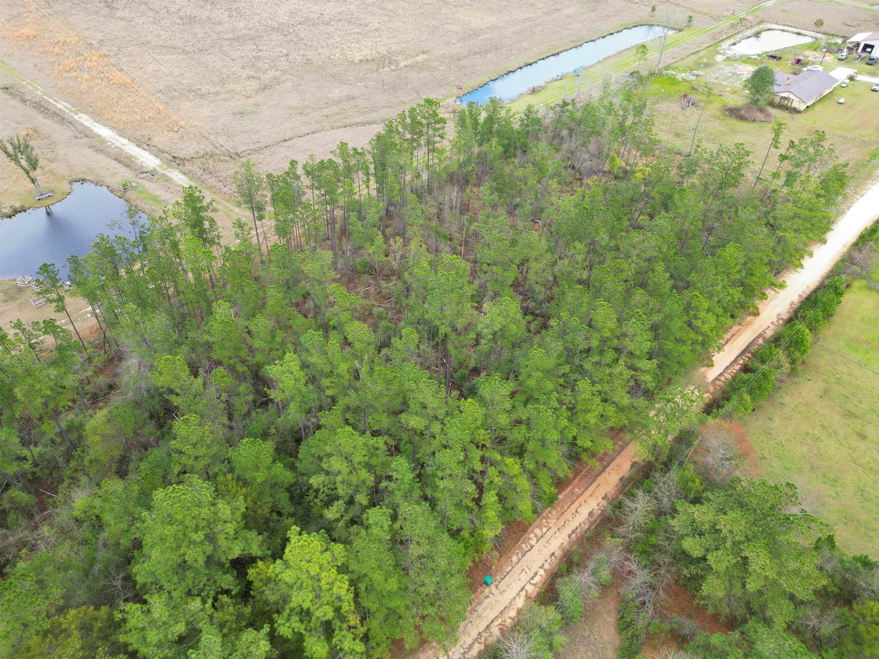 TBD Lot 38 Northwood Drive, MARIANNA, Florida image 8