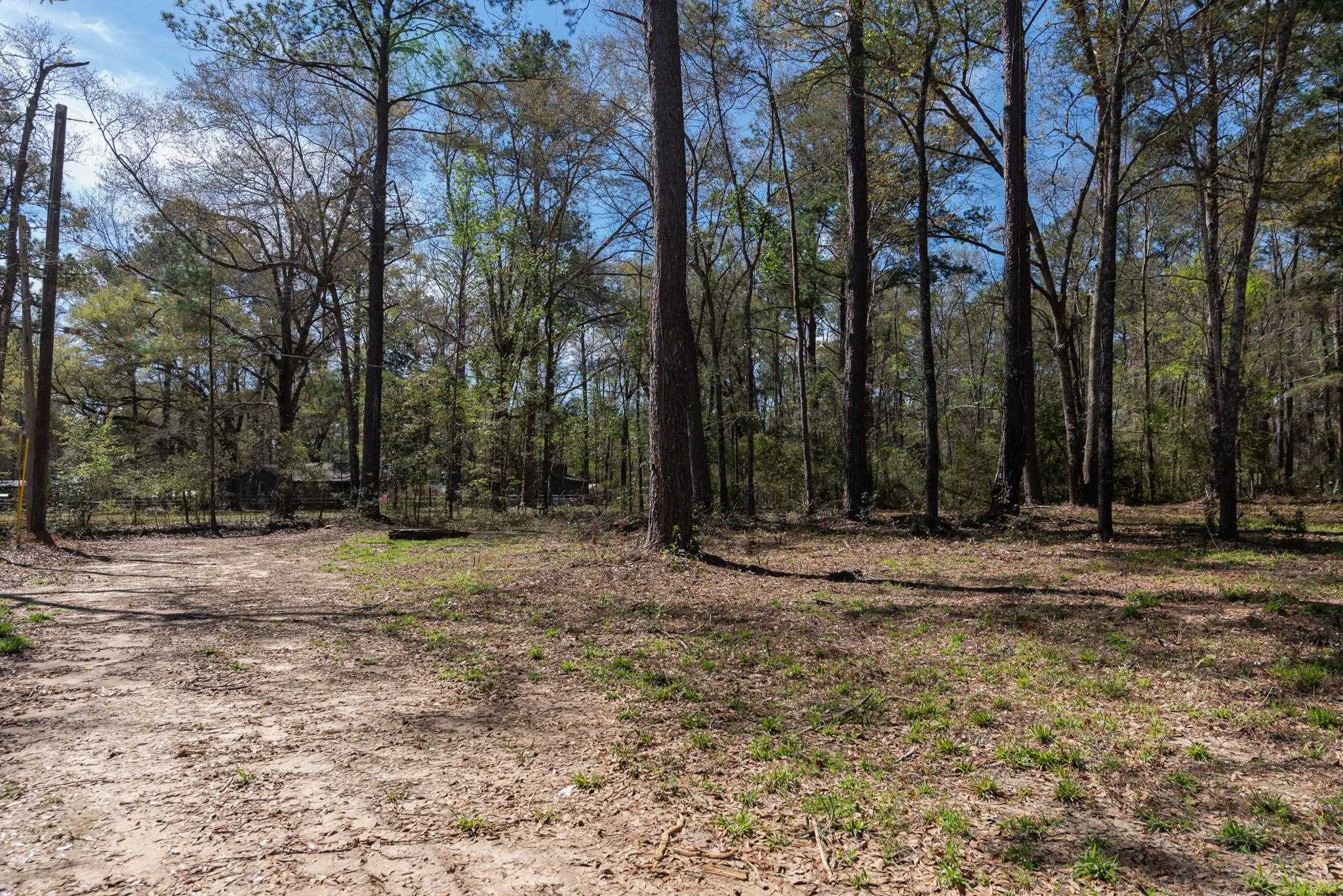 Star Gate Way, Tallahassee, Florida image 11