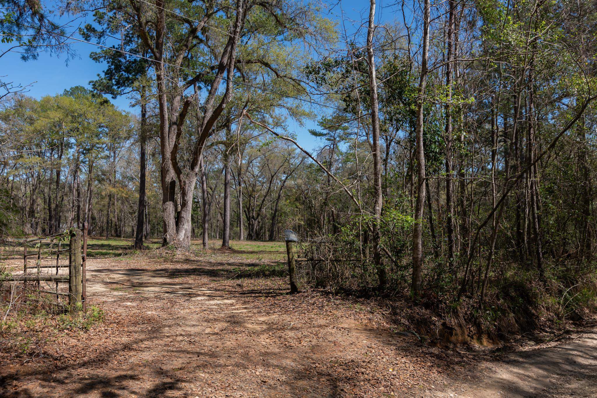 Star Gate Way, Tallahassee, Florida image 12