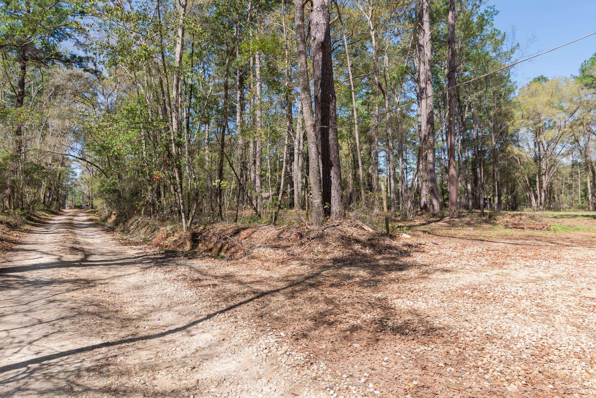 Star Gate Way, Tallahassee, Florida image 2