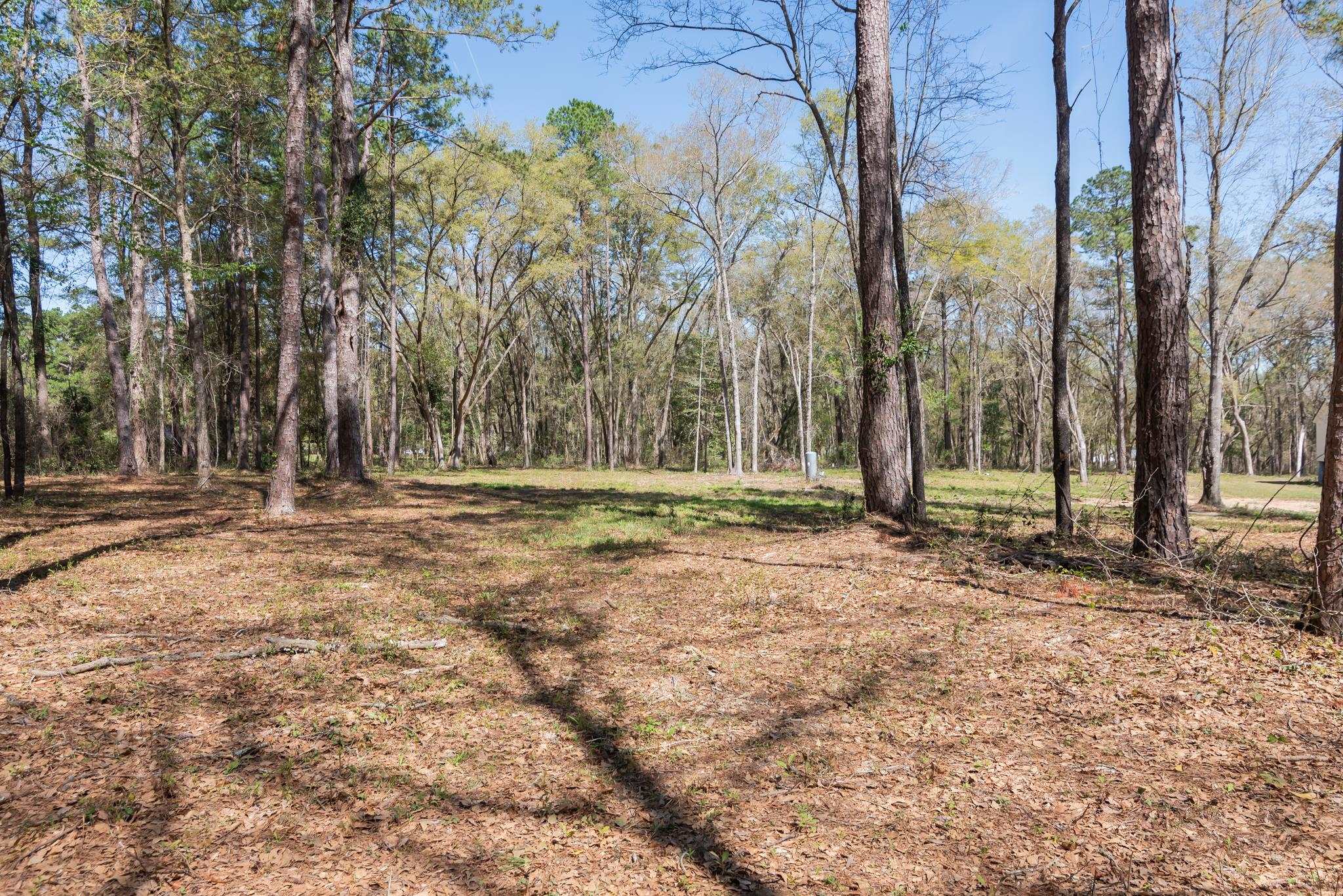 Star Gate Way, Tallahassee, Florida image 4