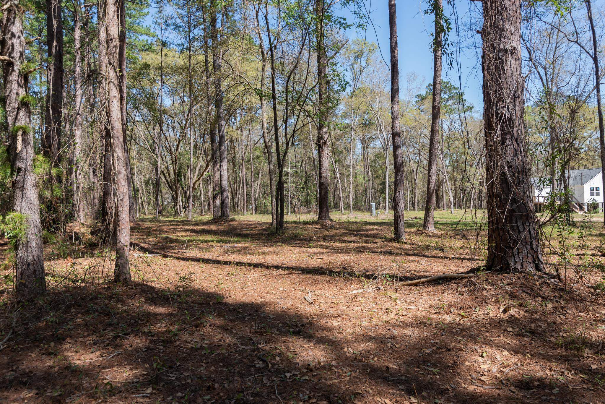 Star Gate Way, Tallahassee, Florida image 5