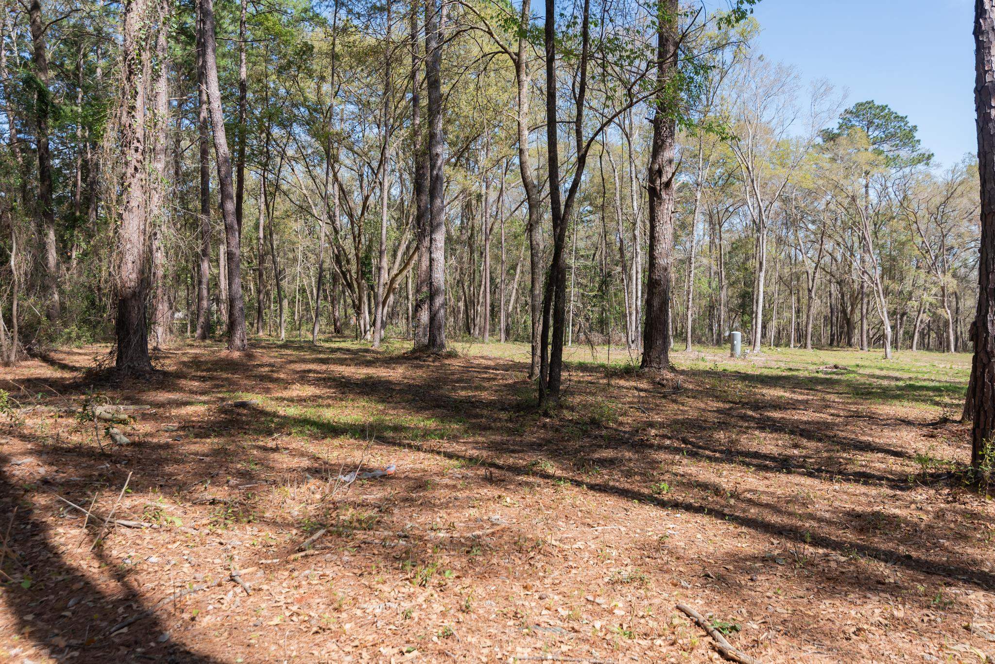 Star Gate Way, Tallahassee, Florida image 6