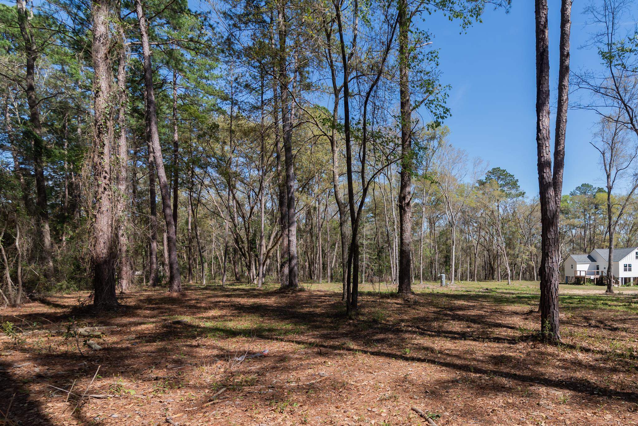 Star Gate Way, Tallahassee, Florida image 7