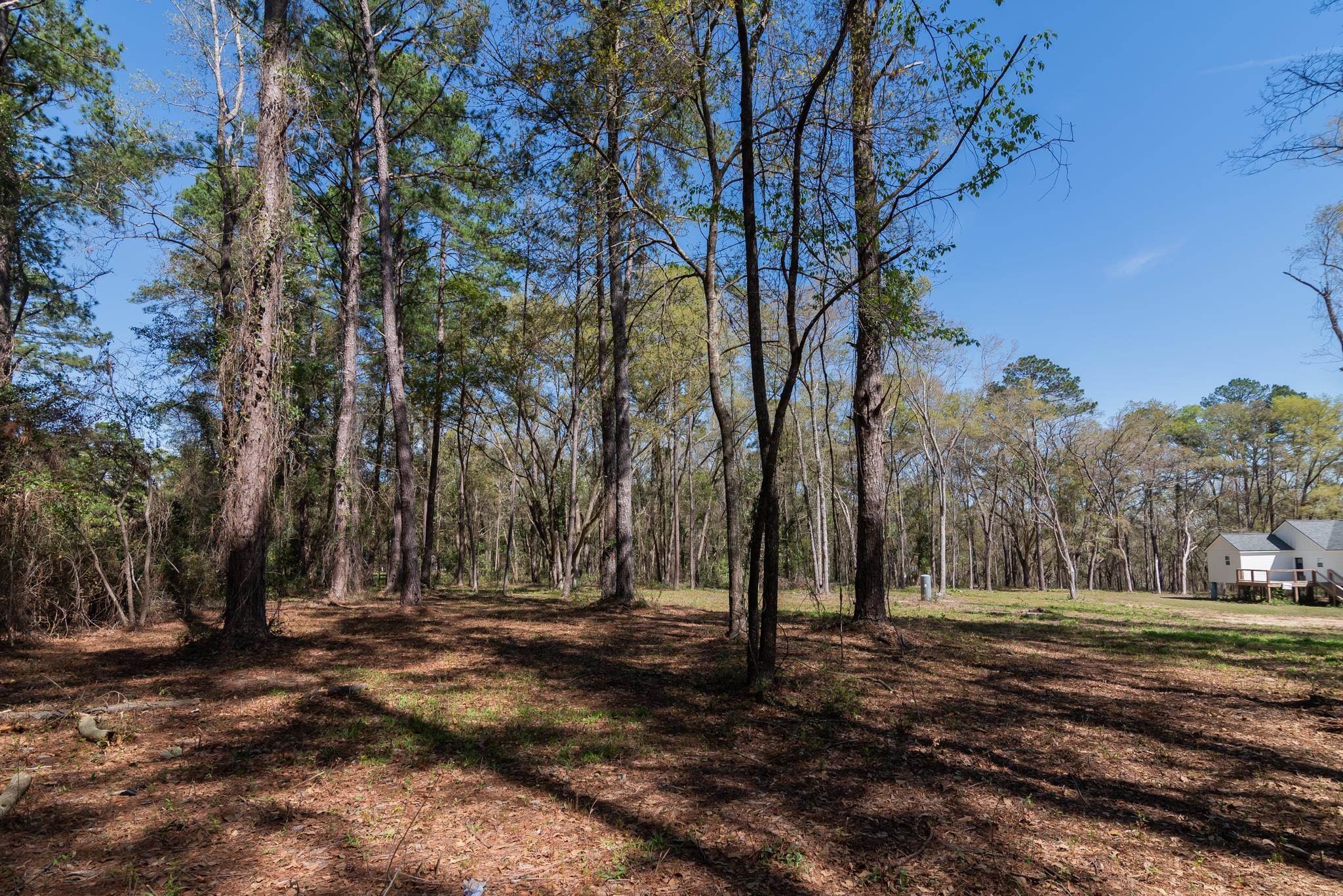 Star Gate Way, Tallahassee, Florida image 8