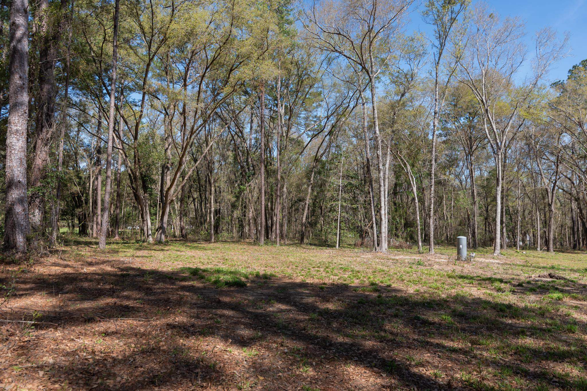 Star Gate Way, Tallahassee, Florida image 9