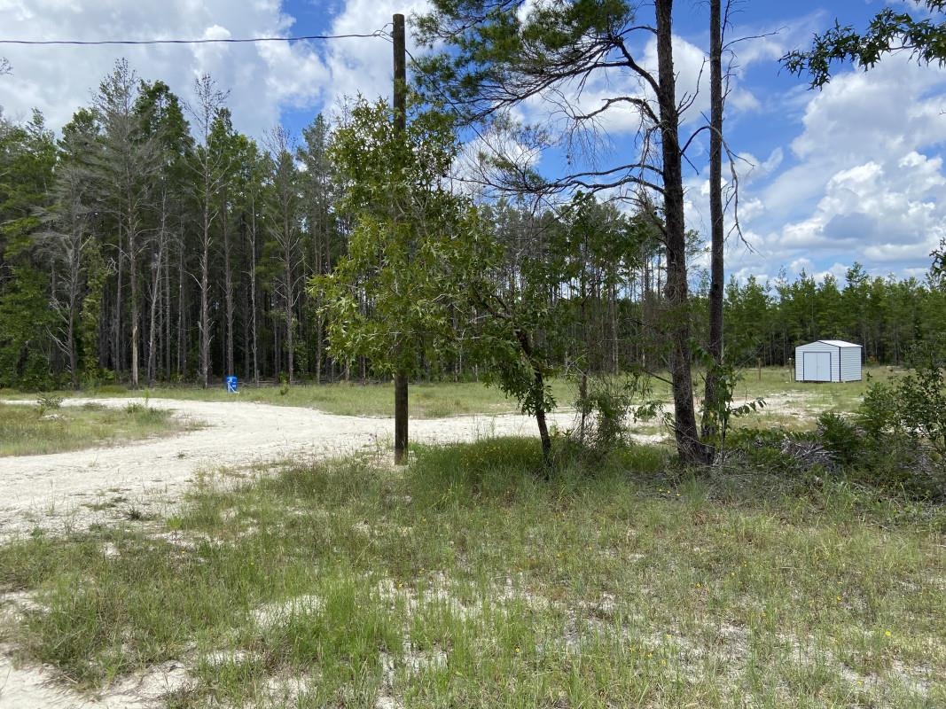 1405 Oak Pond Lane, STEINHATCHEE, Florida image 5