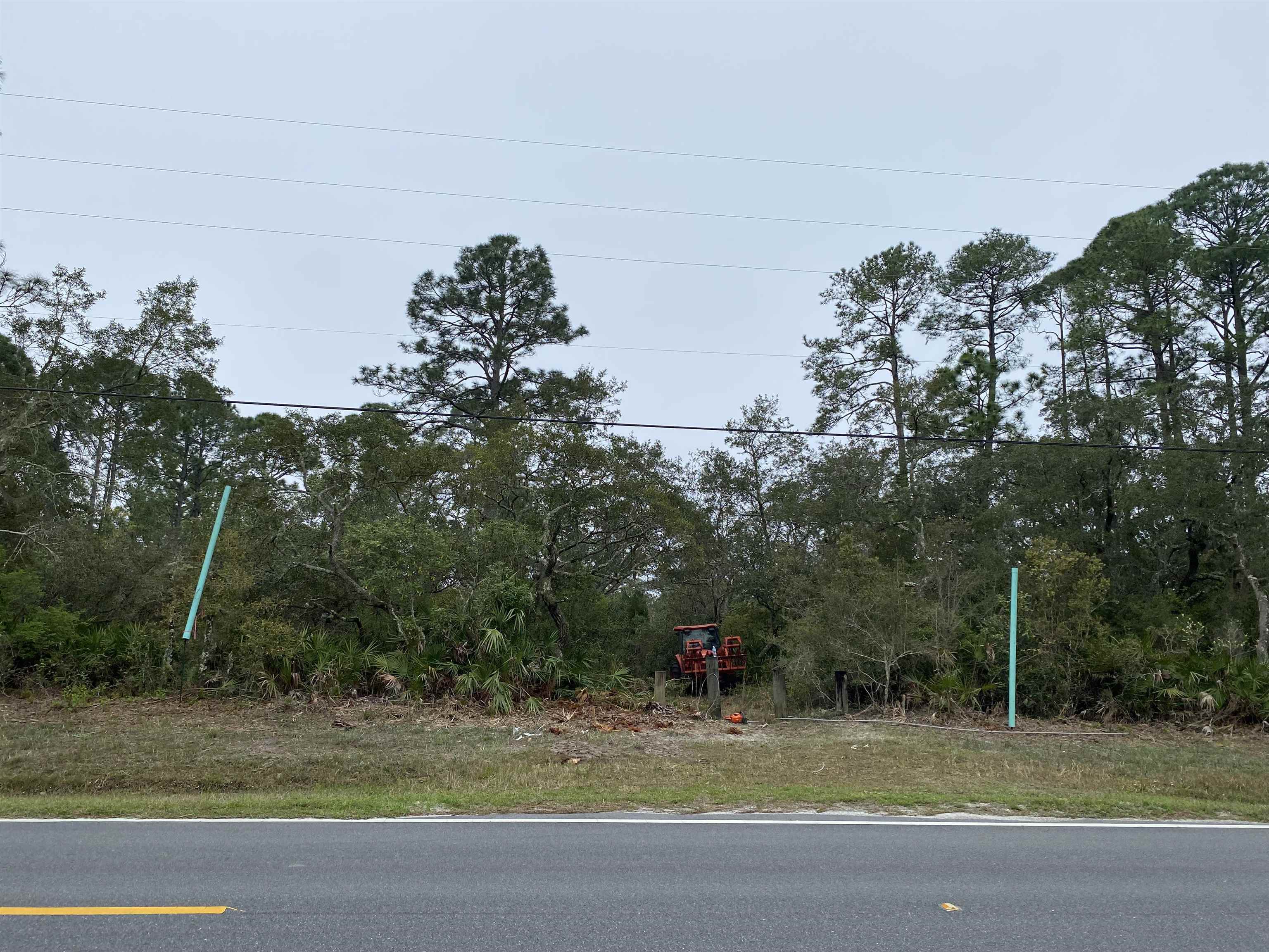Xxx Surf Road, Panacea, Florida image 6