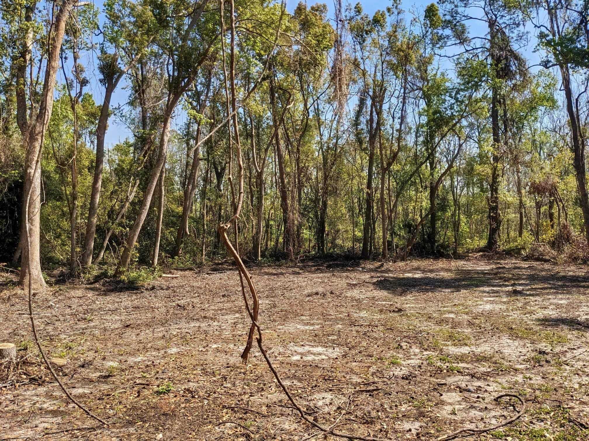 SE Stephens Avenue, MADISON, Florida image 11