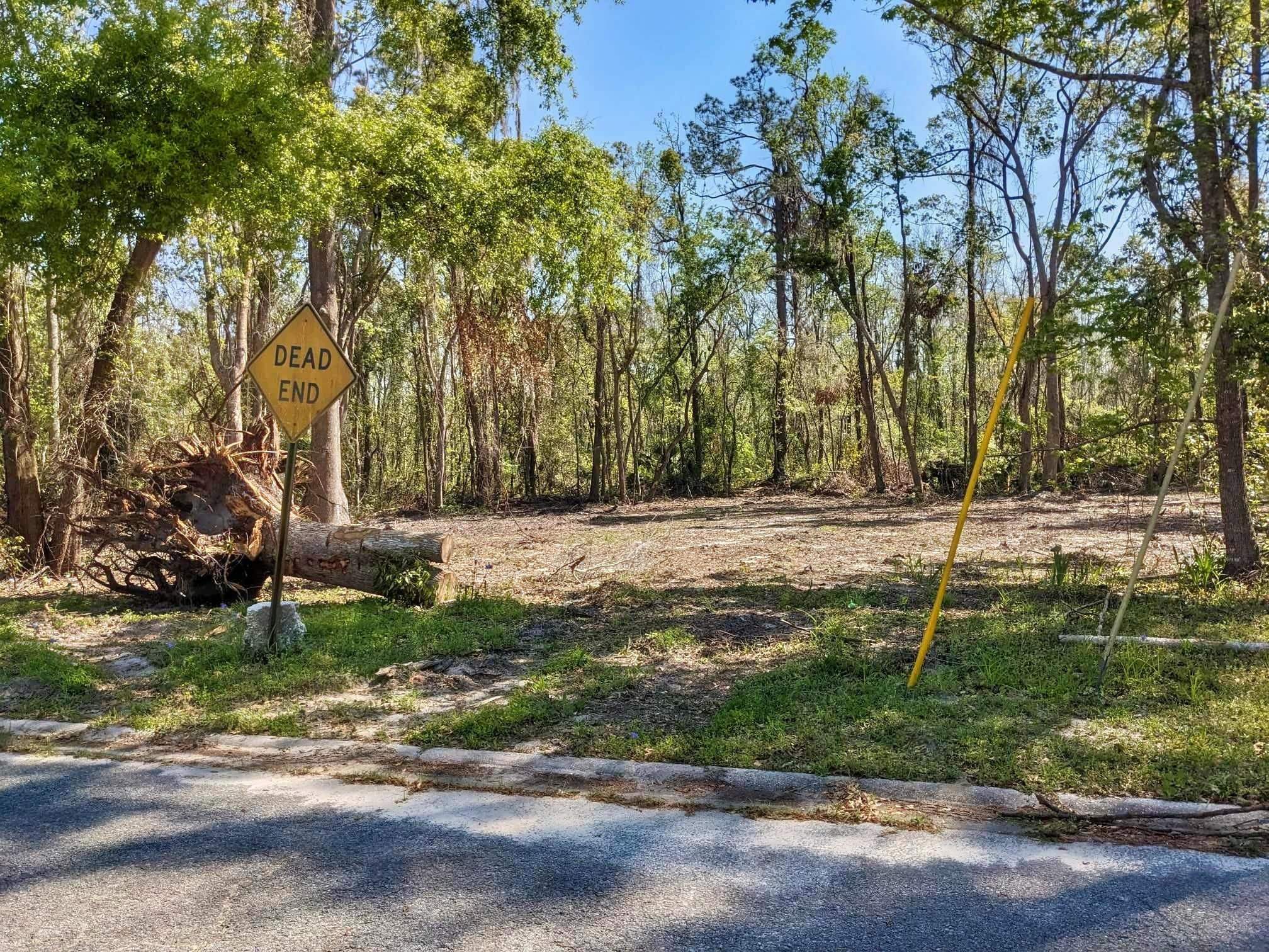 SE Stephens Avenue, MADISON, Florida image 6