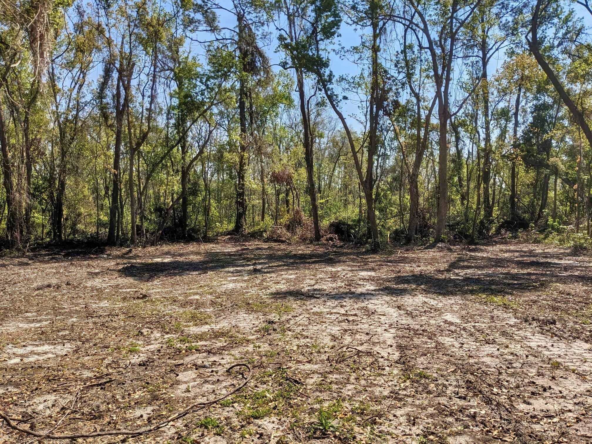 SE Stephens Avenue, MADISON, Florida image 8