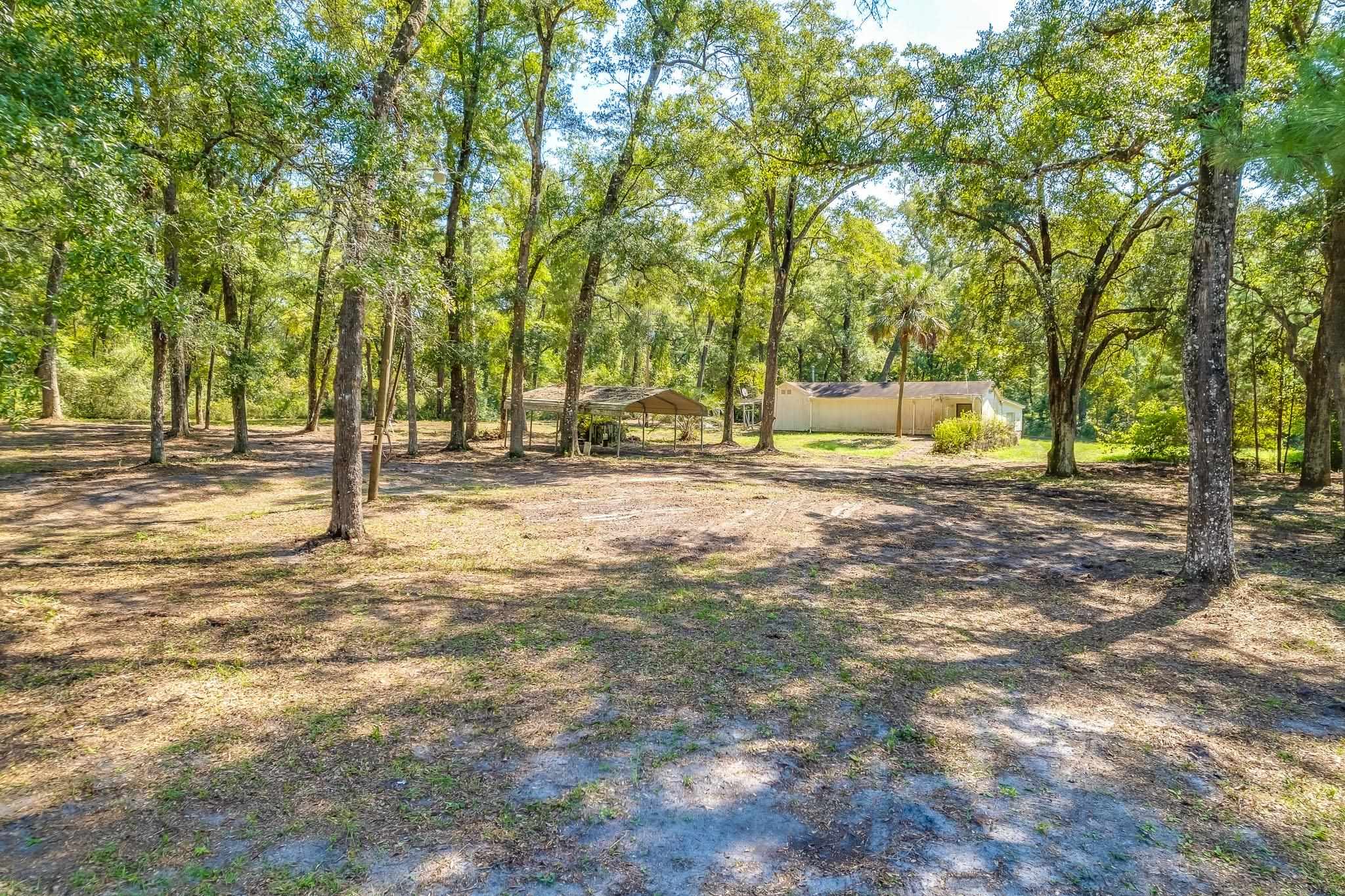 5033 Coastal Highway, Crawfordville, Florida image 12