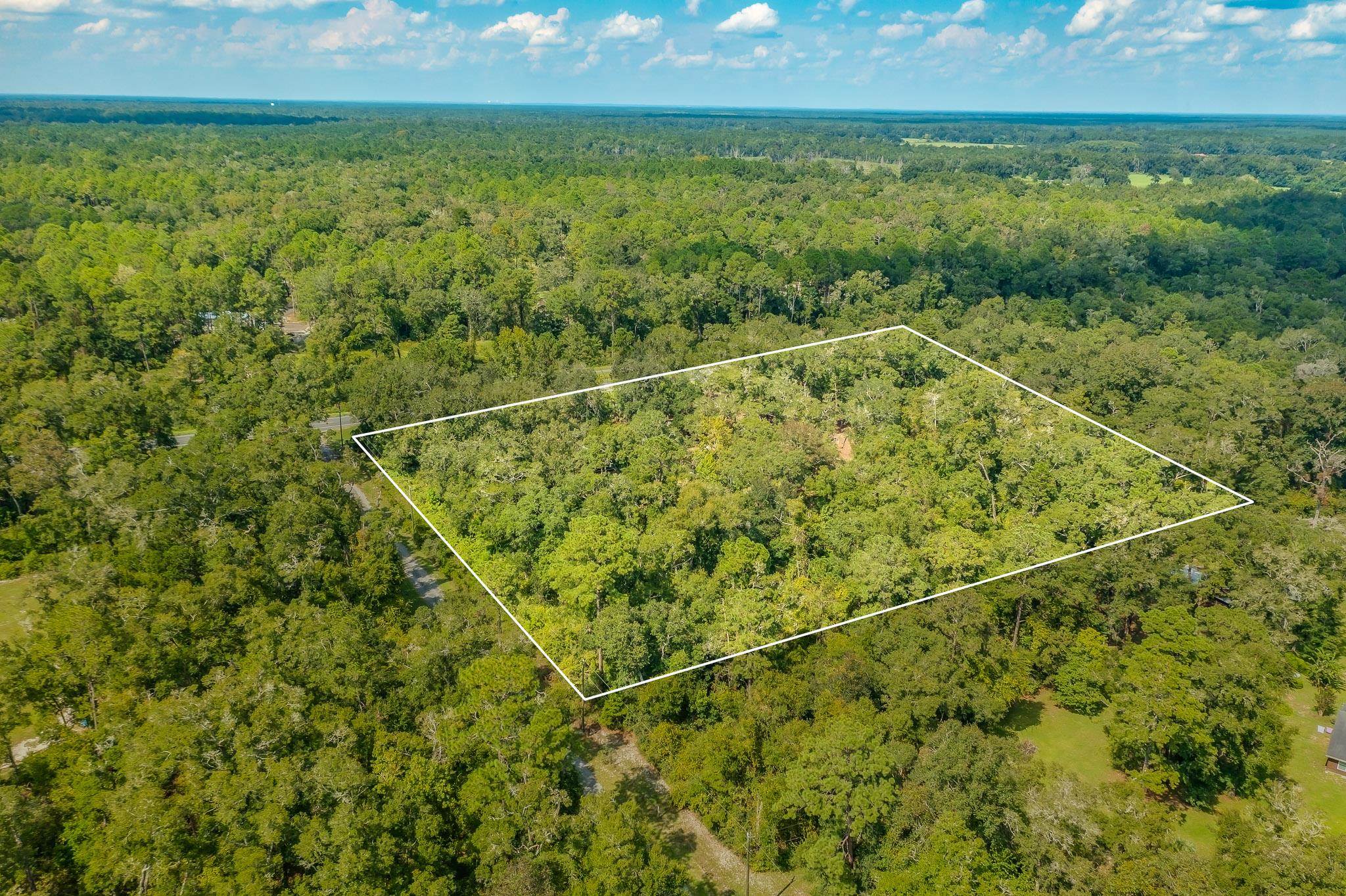 5033 Coastal Highway, Crawfordville, Florida image 31