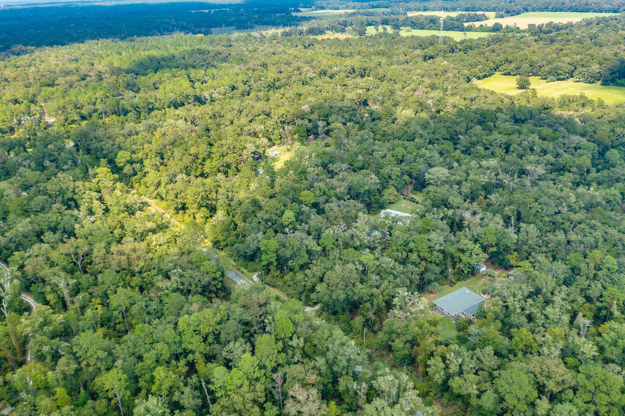 5033 Coastal Highway, Crawfordville, Florida image 37