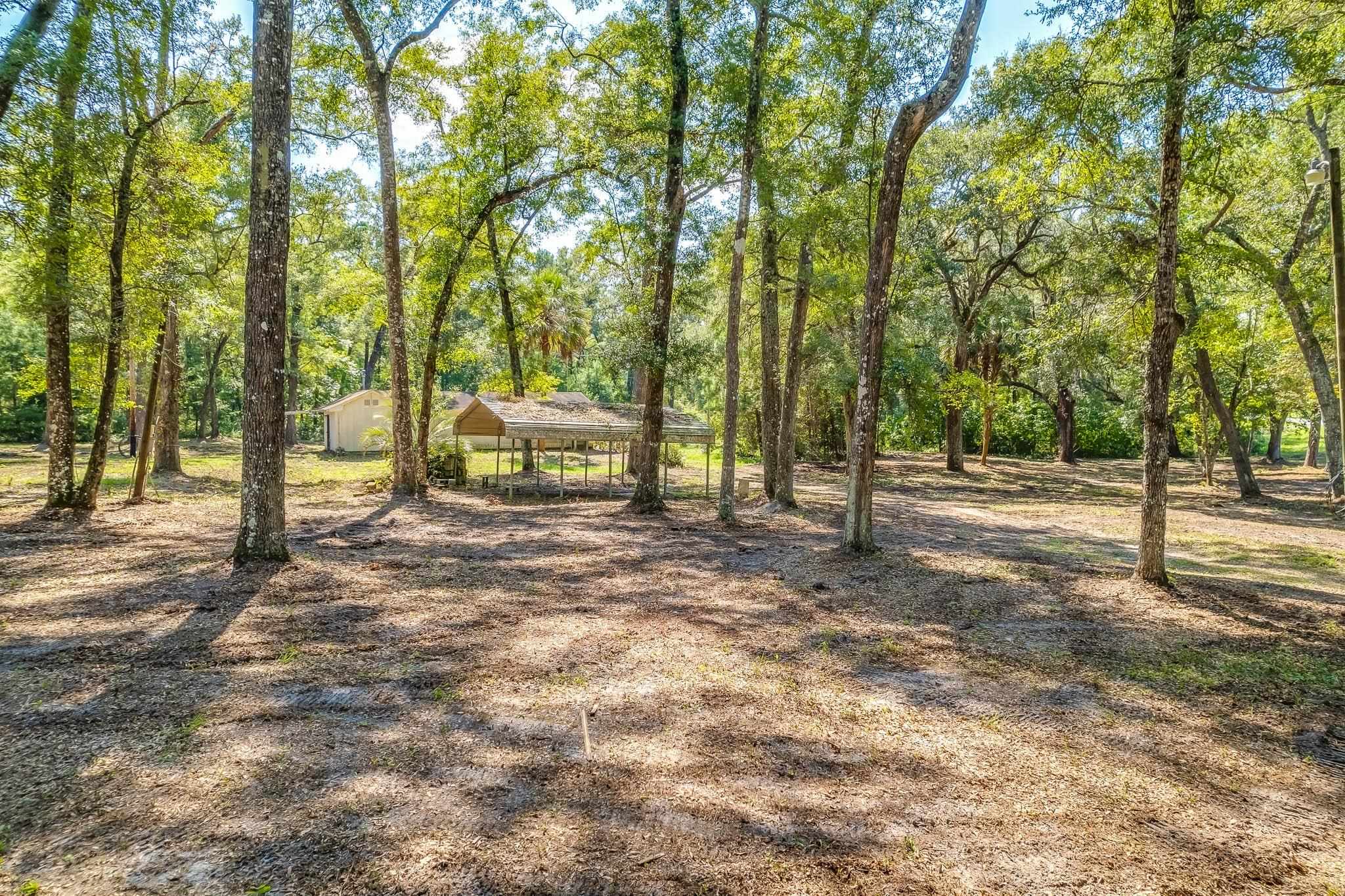5033 Coastal Highway, Crawfordville, Florida image 5