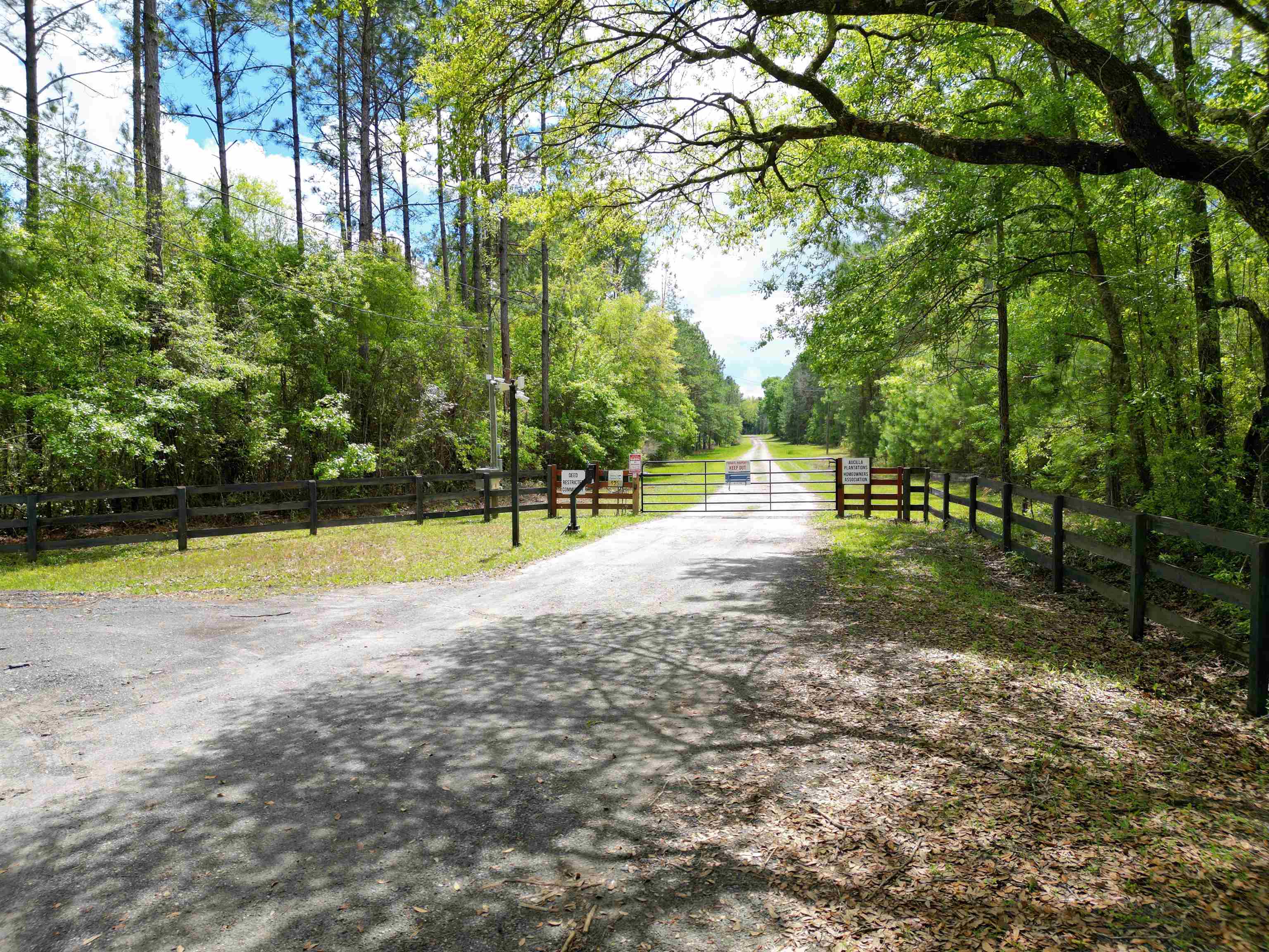 TBD SW Paradise Way, GREENVILLE, Florida image 8