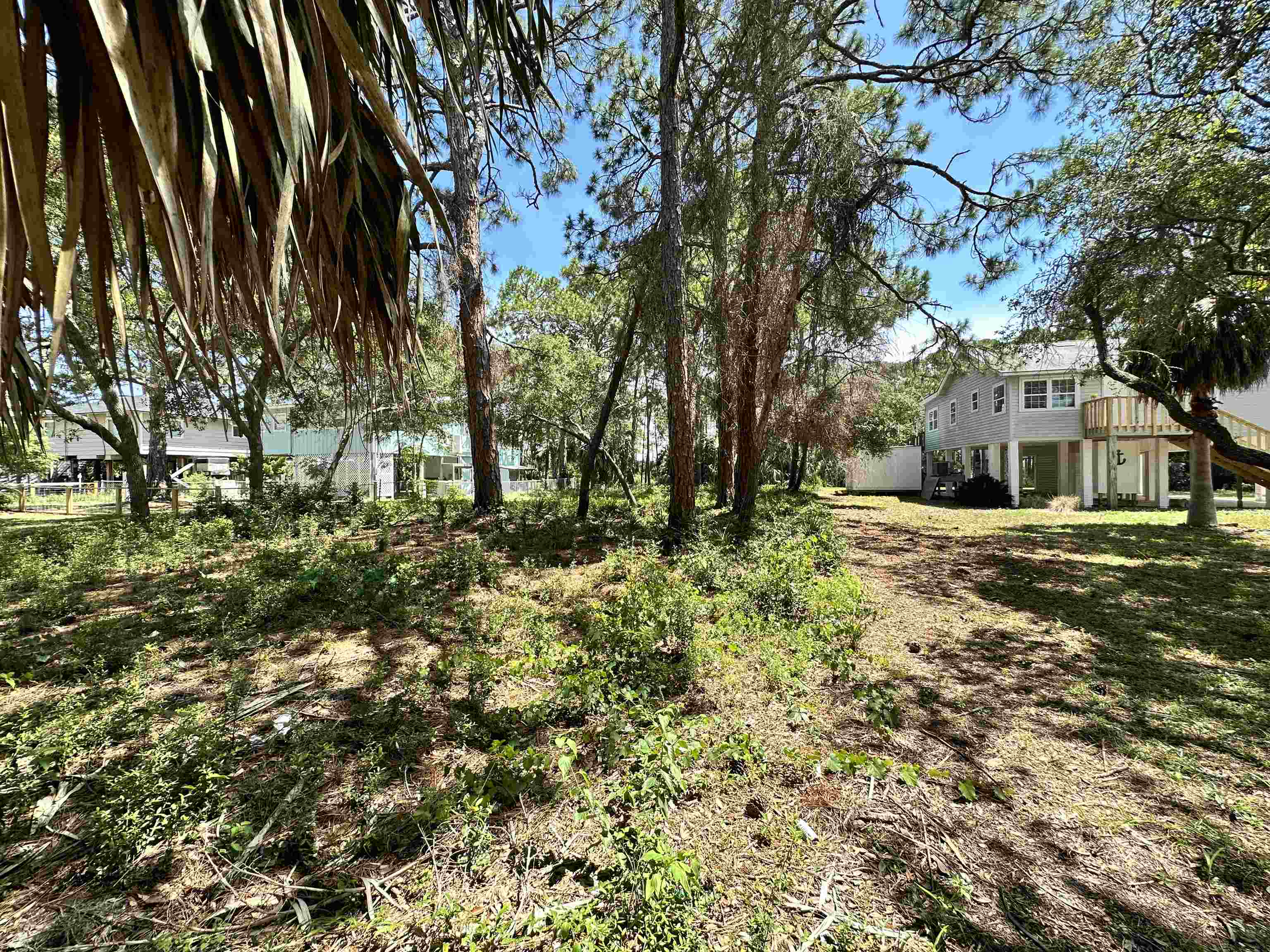 138 Harbor Circle, ALLIGATOR POINT, Florida image 13