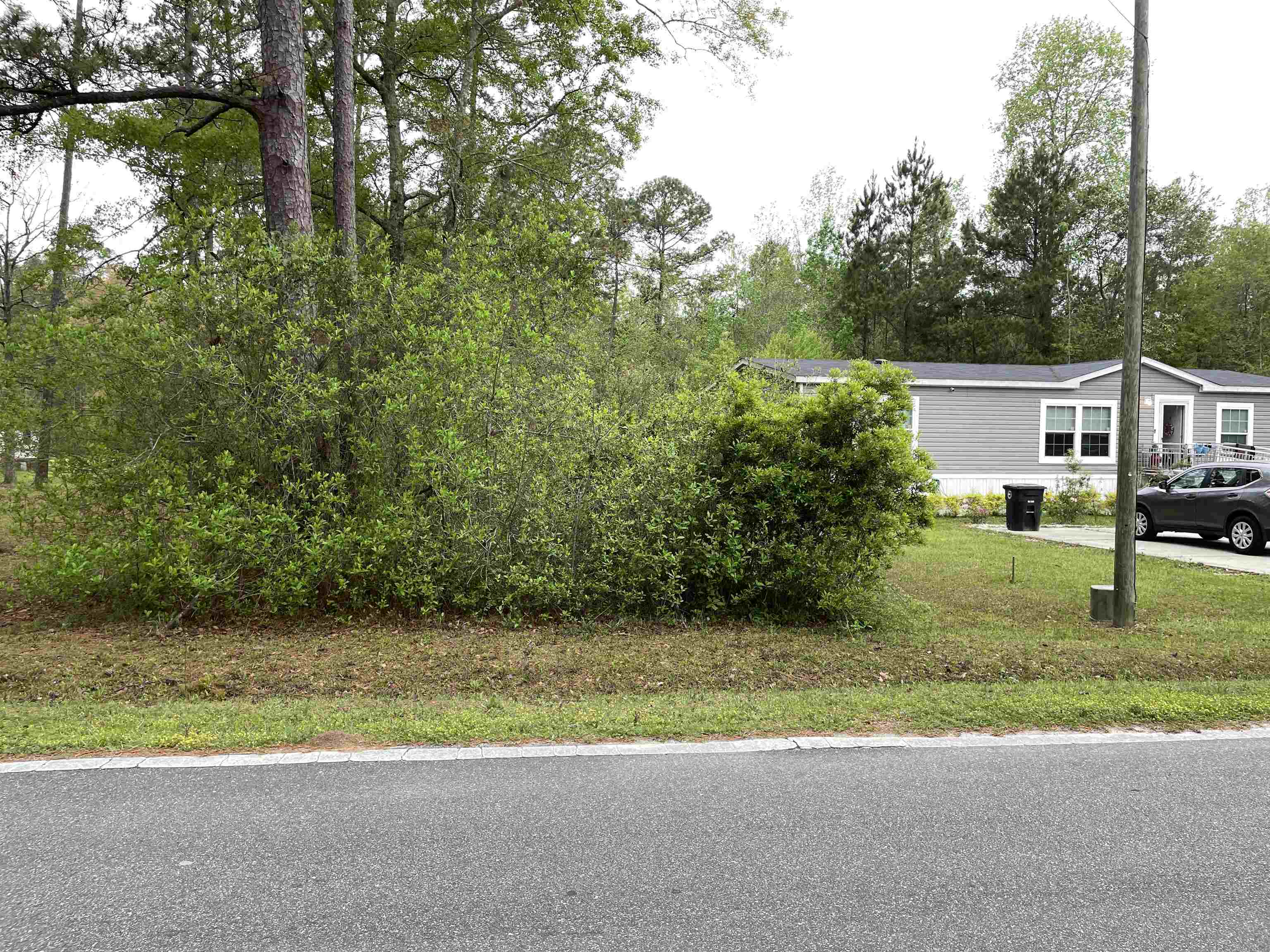 4412 Blount Creek Road, Tallahassee, Florida image 8