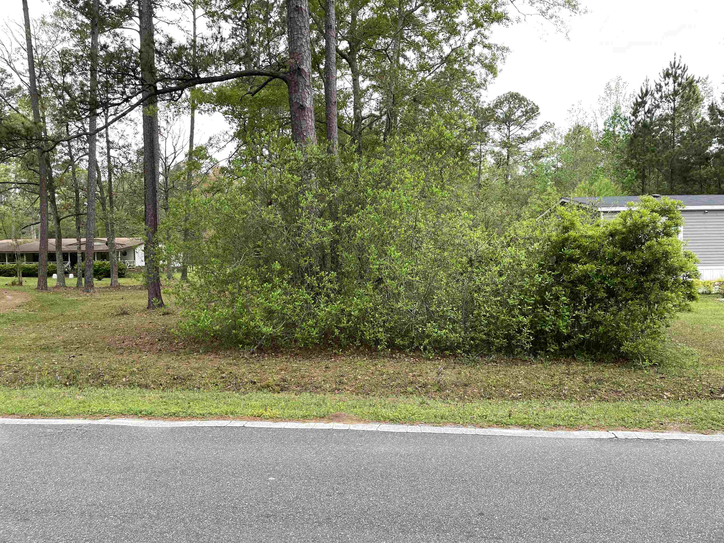 4412 Blount Creek Road, Tallahassee, Florida image 9