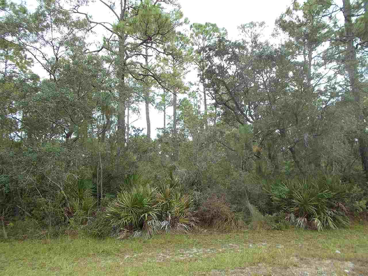 22 Piper Lane #-, PANACEA, Florida image 1