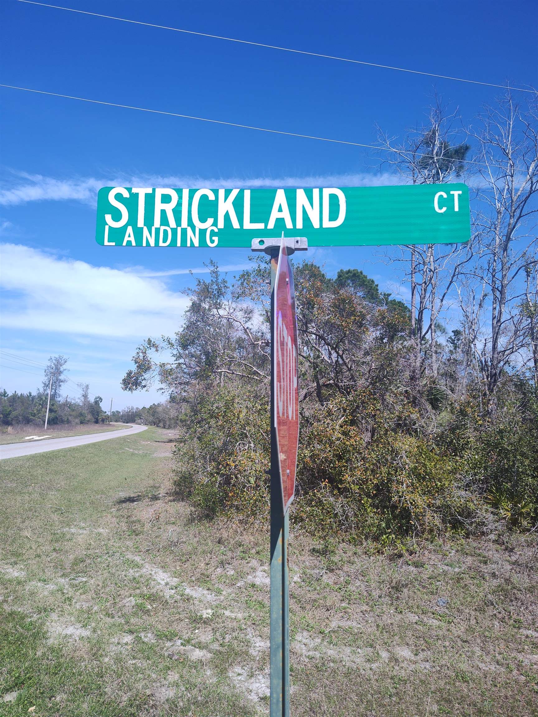 000 Strickland Landing Ct, Perry, Florida image 1