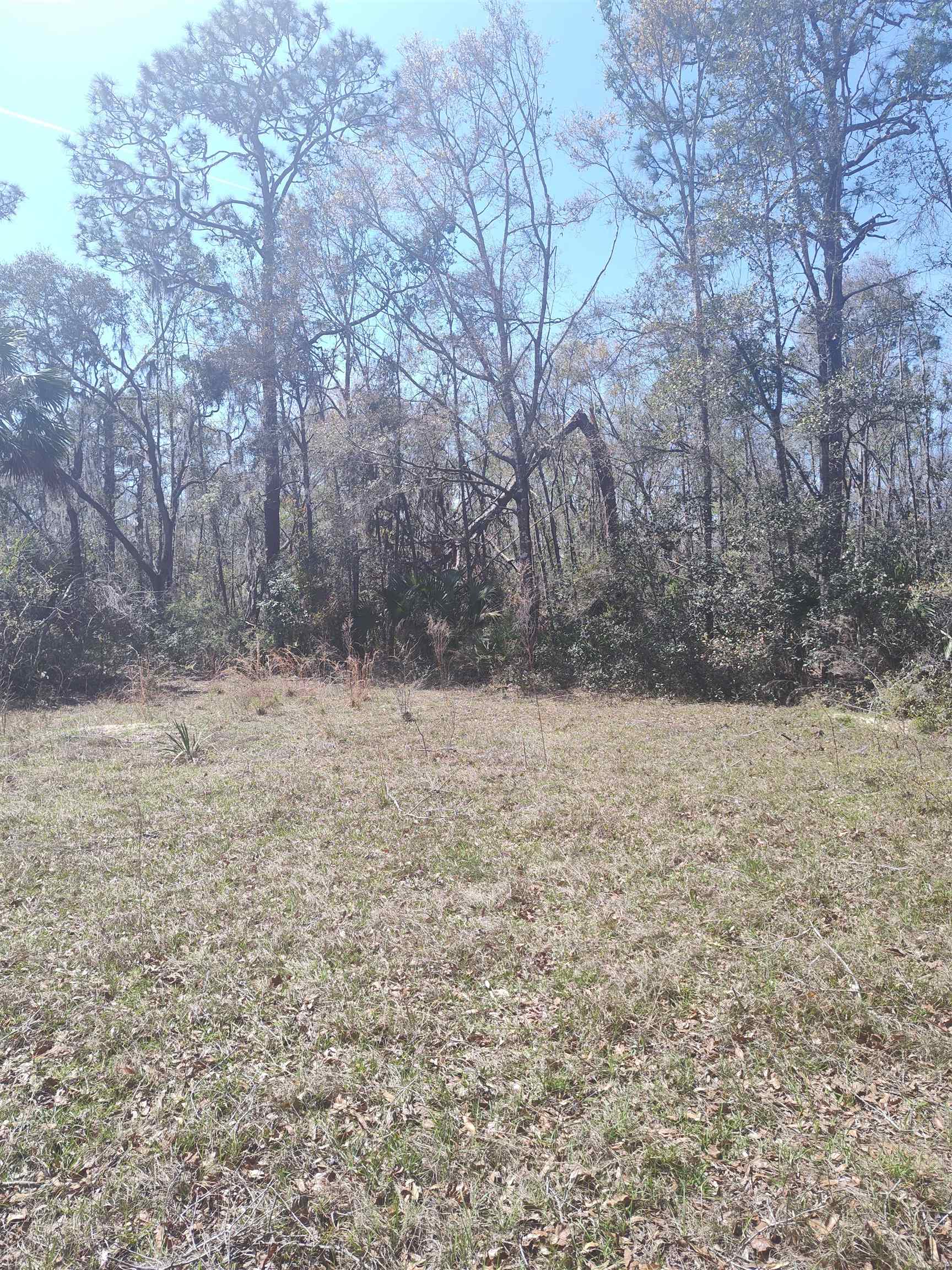 000 Strickland Landing Ct, Perry, Florida image 12