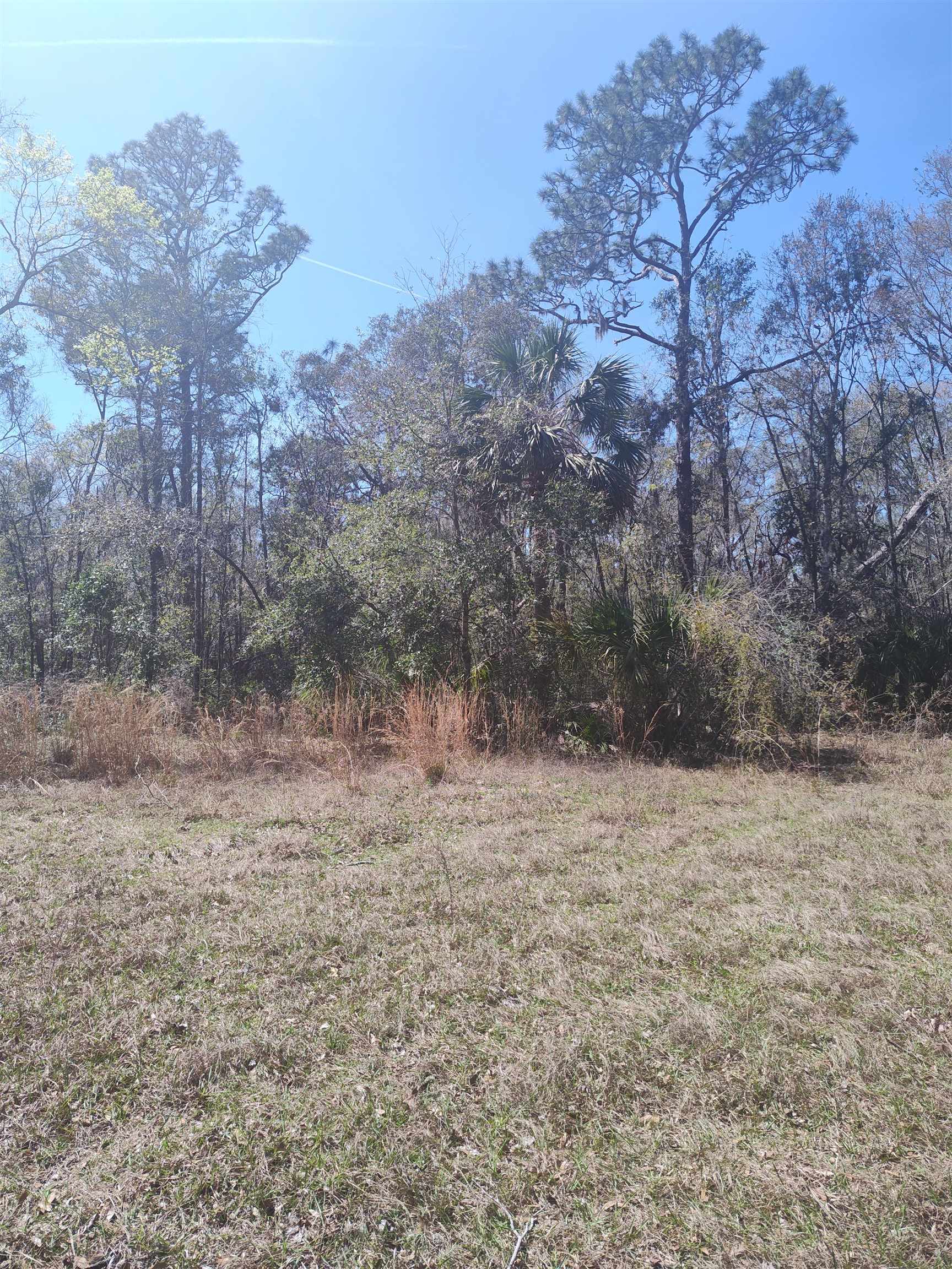 000 Strickland Landing Ct, Perry, Florida image 13