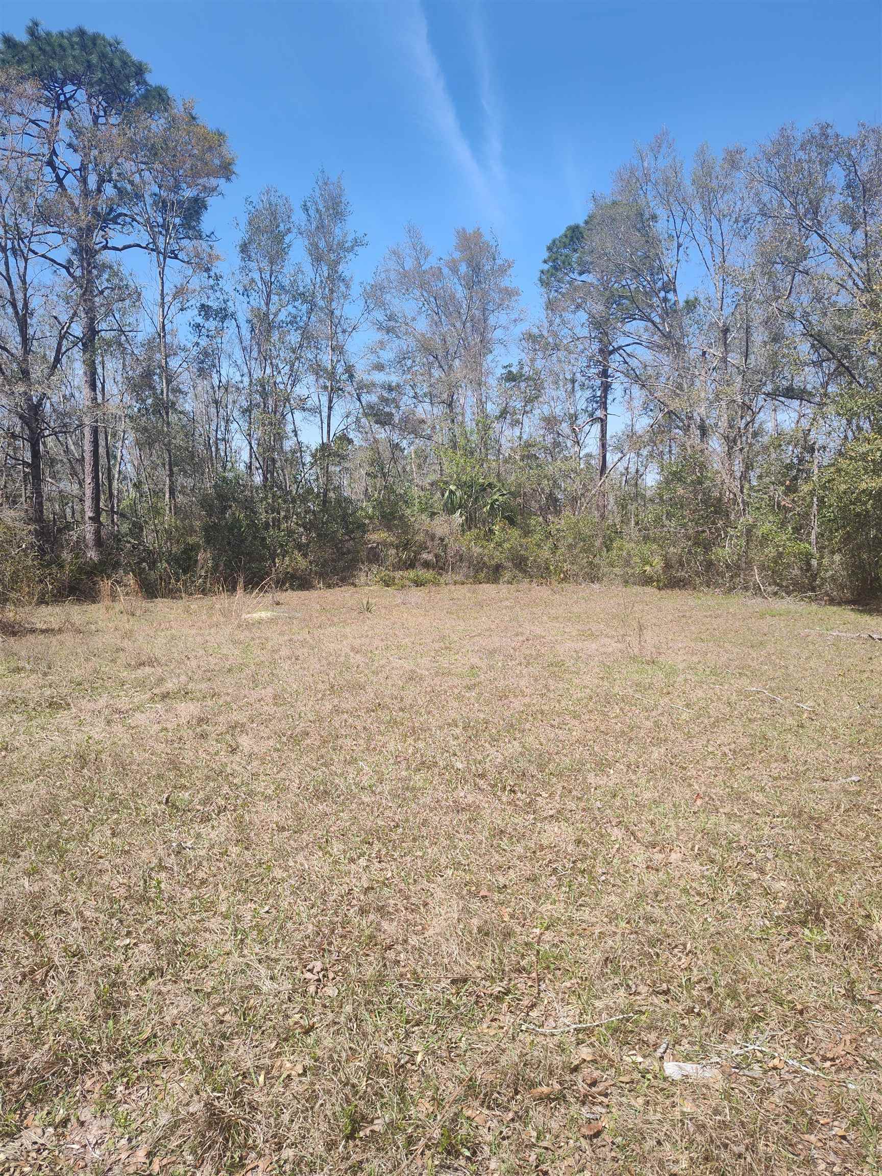000 Strickland Landing Ct, Perry, Florida image 16