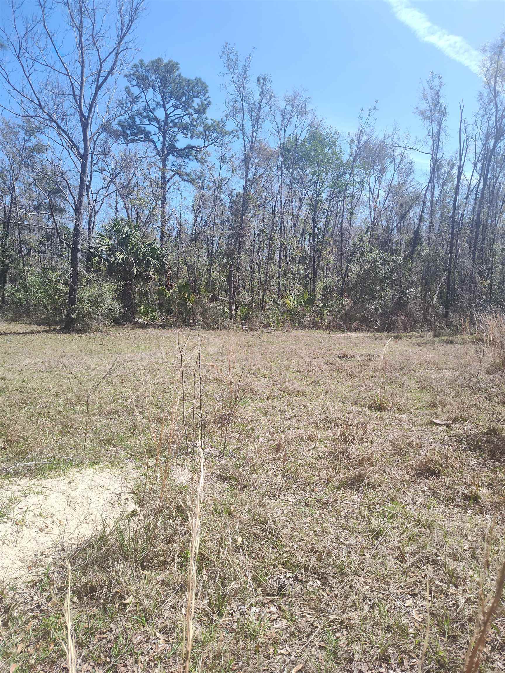 000 Strickland Landing Ct, Perry, Florida image 17