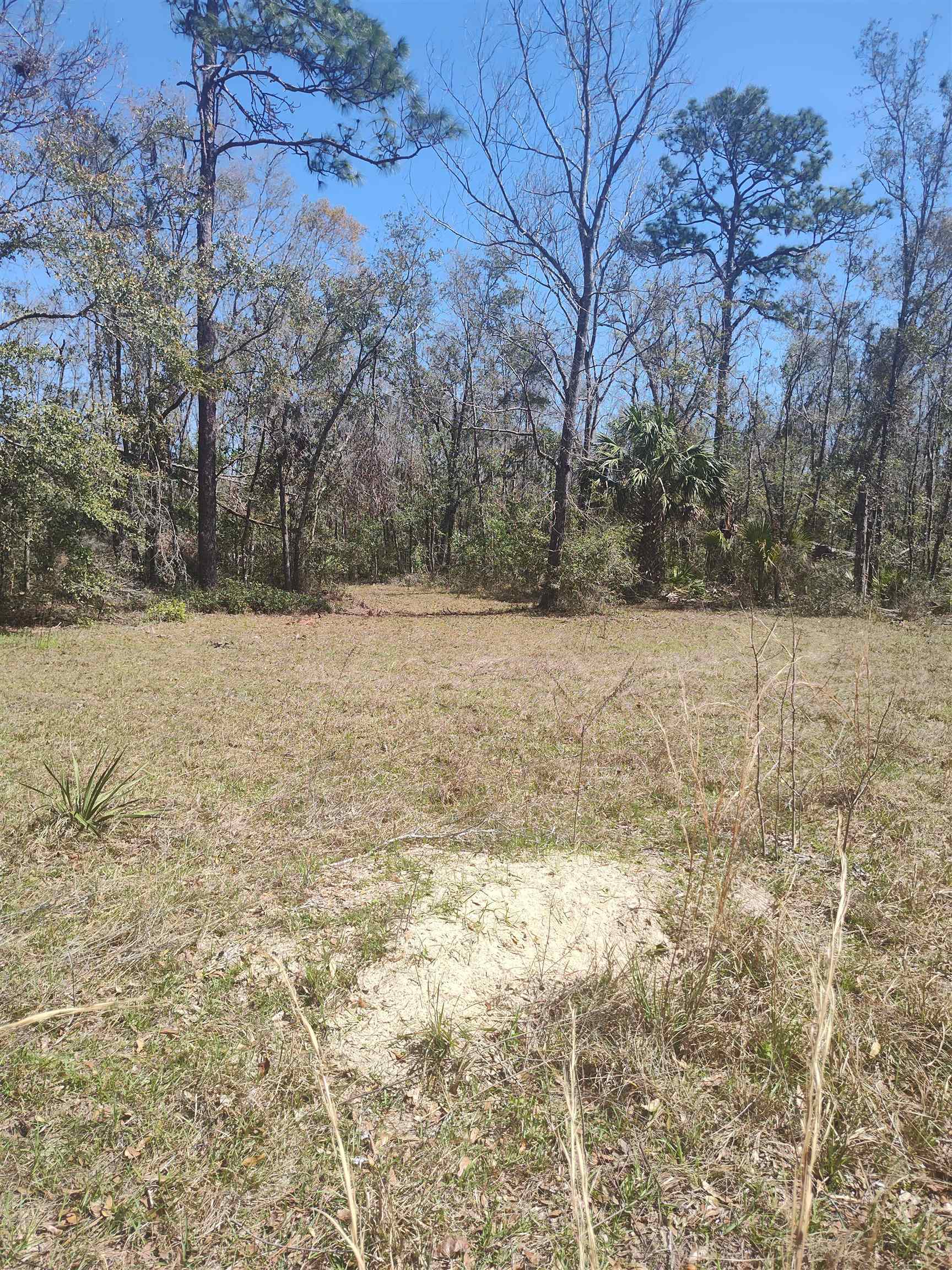 000 Strickland Landing Ct, Perry, Florida image 18