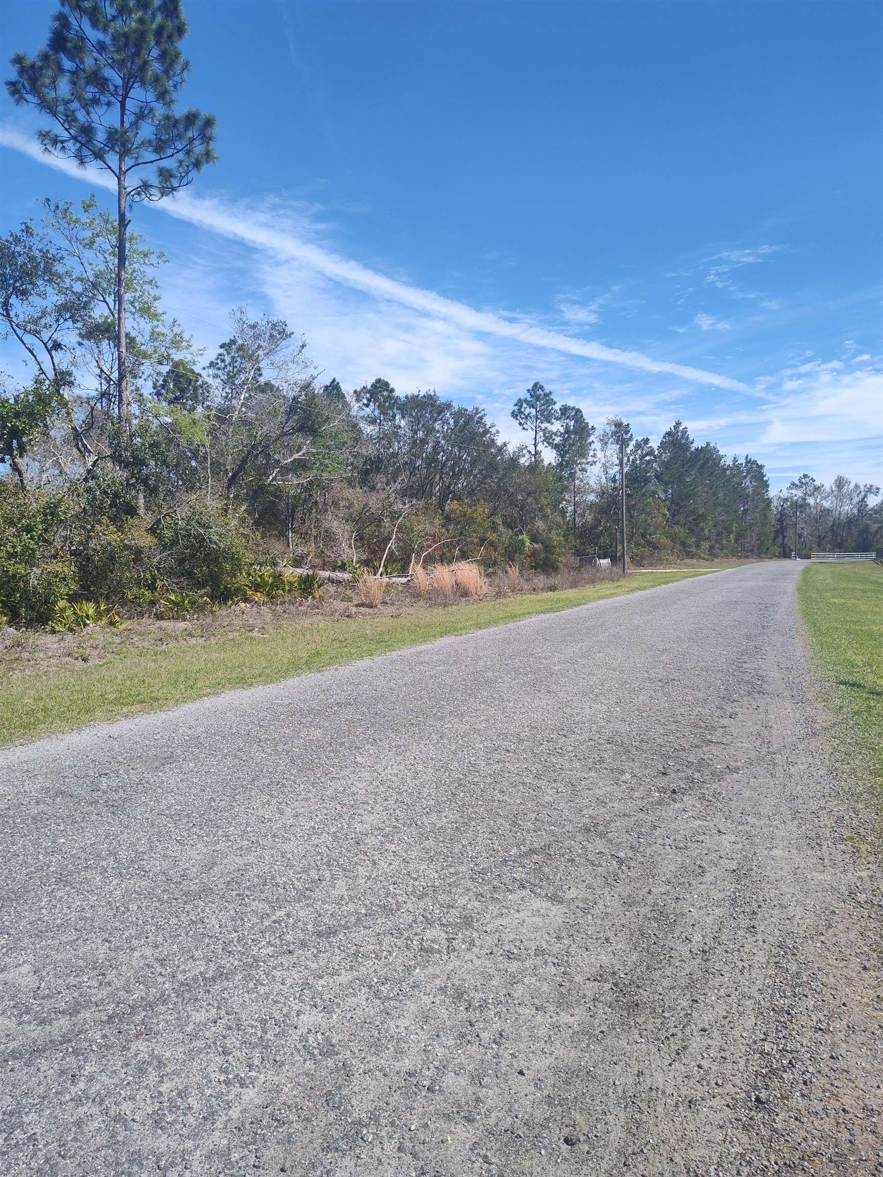 000 Strickland Landing Ct, Perry, Florida image 2