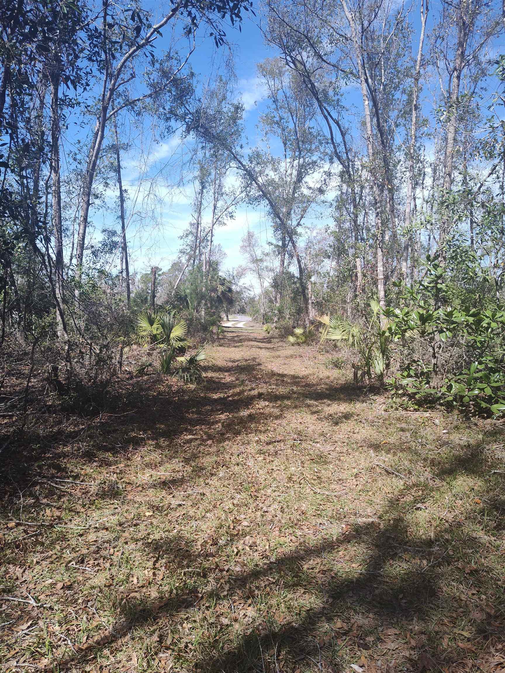 000 Strickland Landing Ct, Perry, Florida image 5