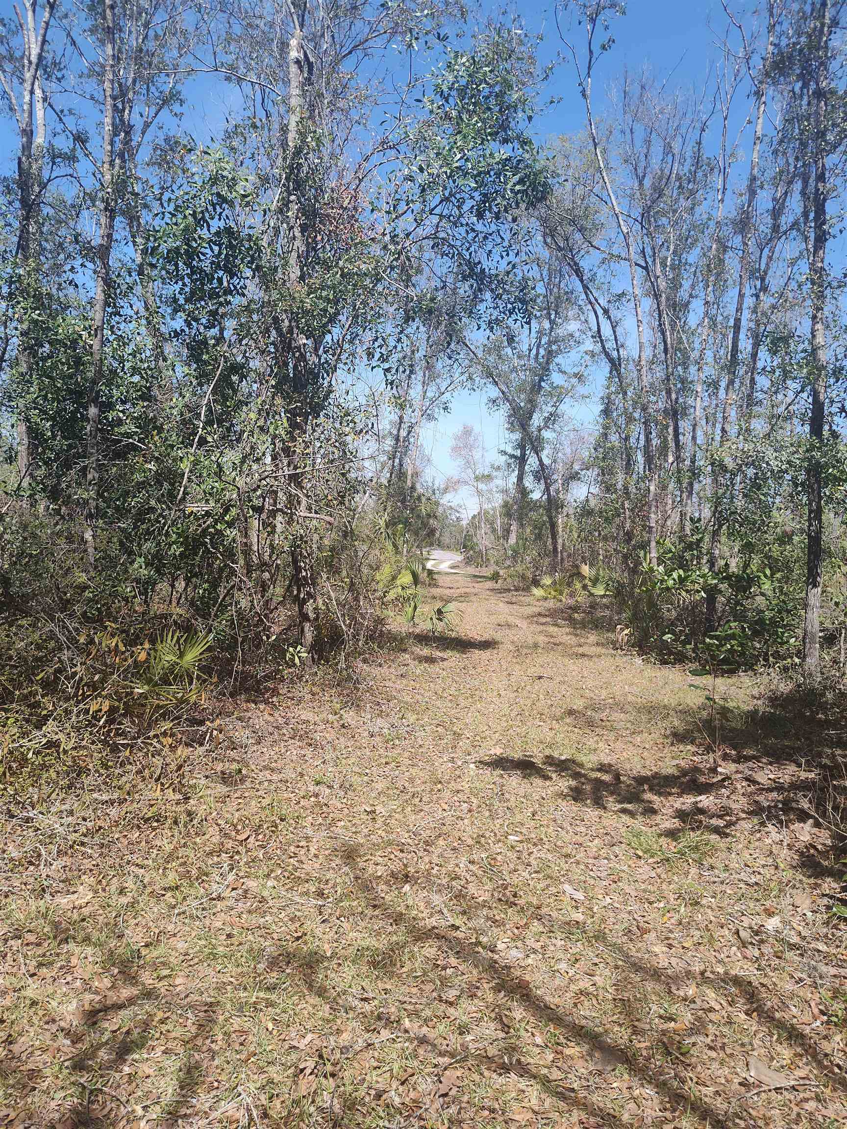 000 Strickland Landing Ct, Perry, Florida image 9