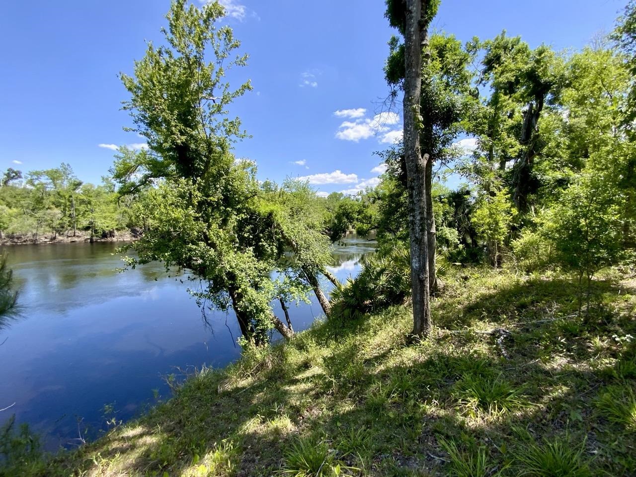 1903 SE Boundary Bend Trail, Lee, Florida image 1
