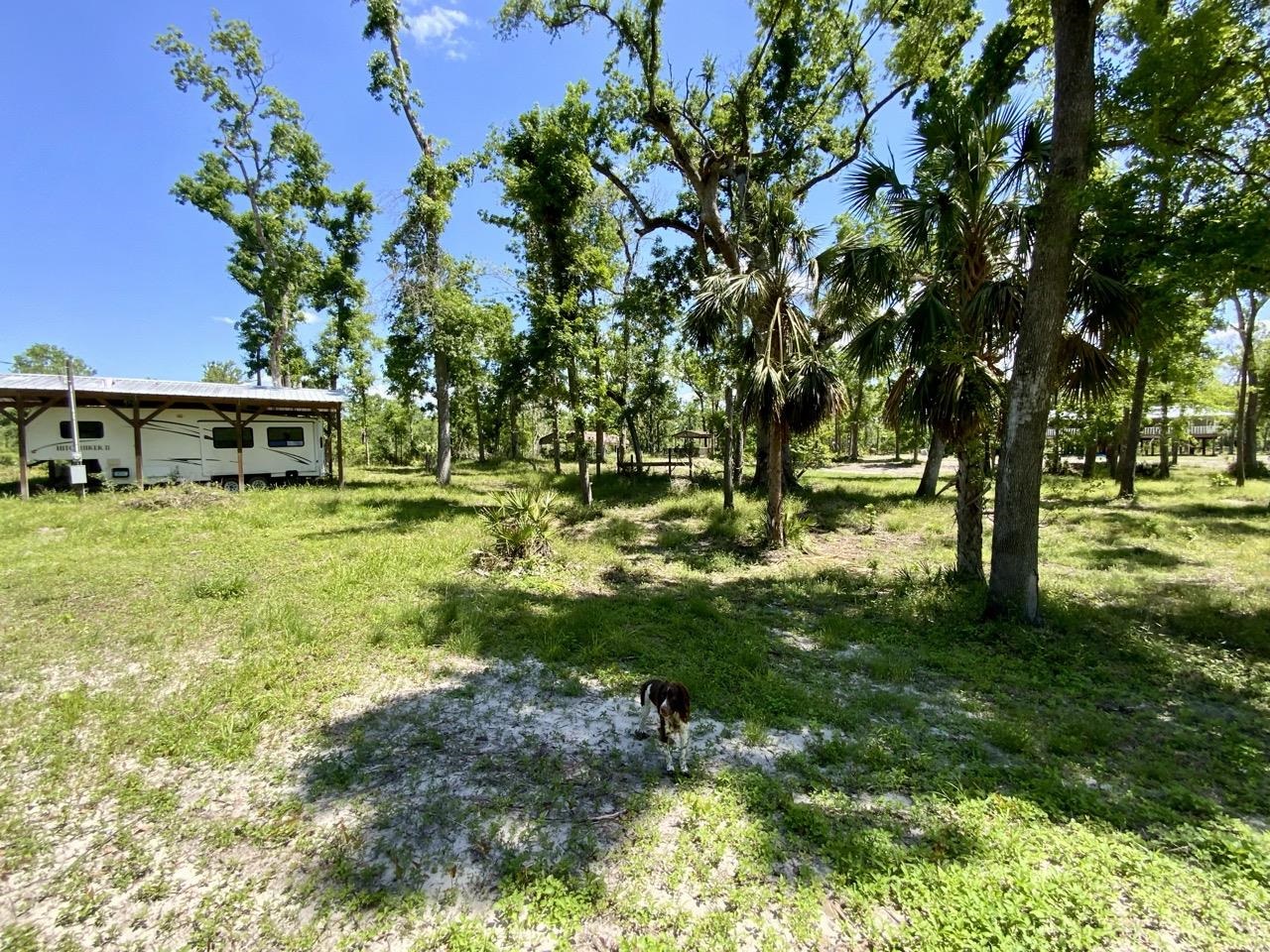 1903 SE Boundary Bend Trail, Lee, Florida image 12