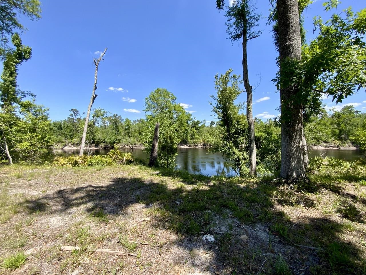 1903 SE Boundary Bend Trail, Lee, Florida image 14