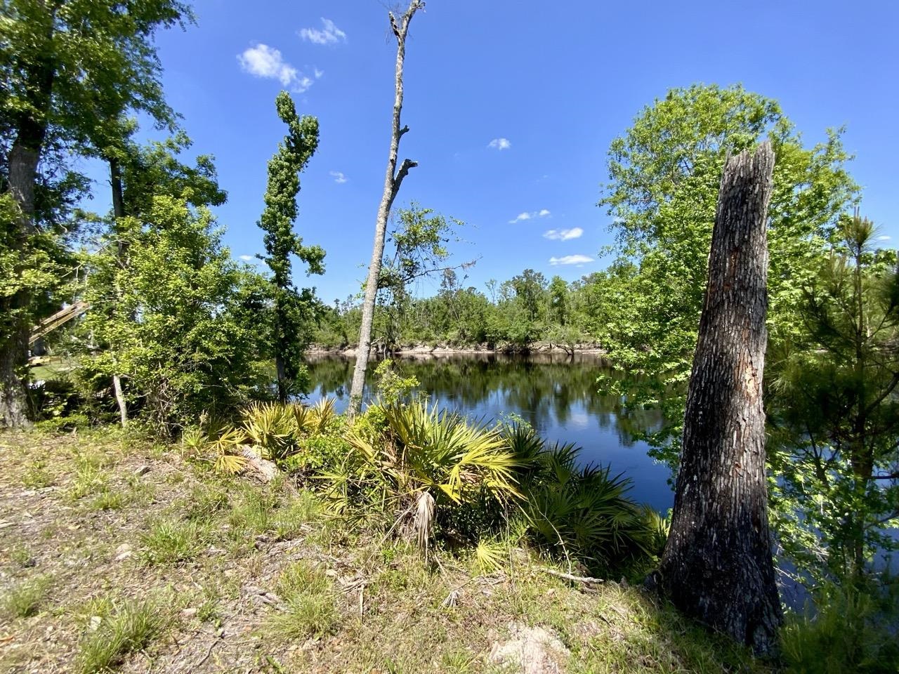 1903 SE Boundary Bend Trail, Lee, Florida image 16