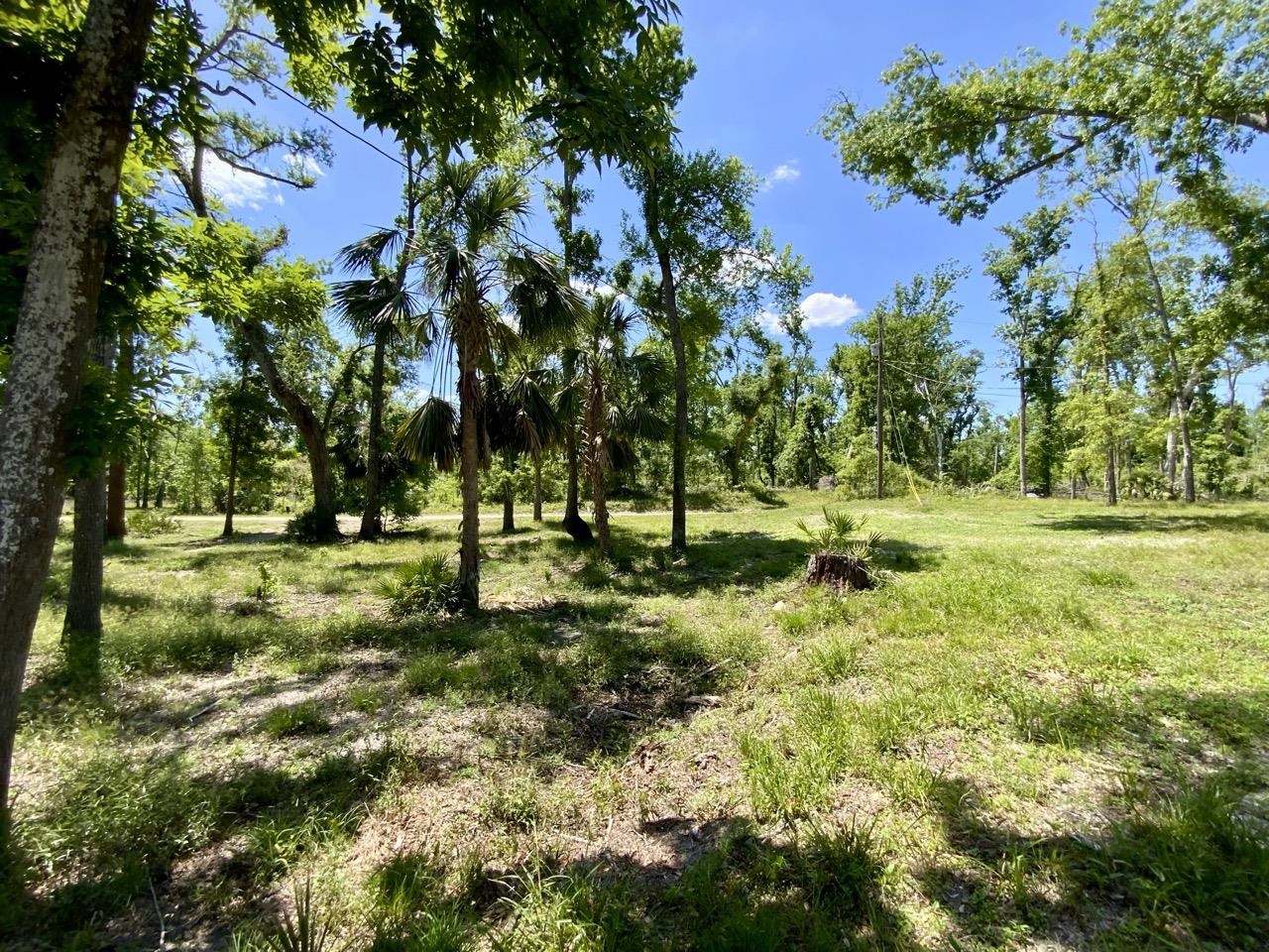 1903 SE Boundary Bend Trail, Lee, Florida image 17
