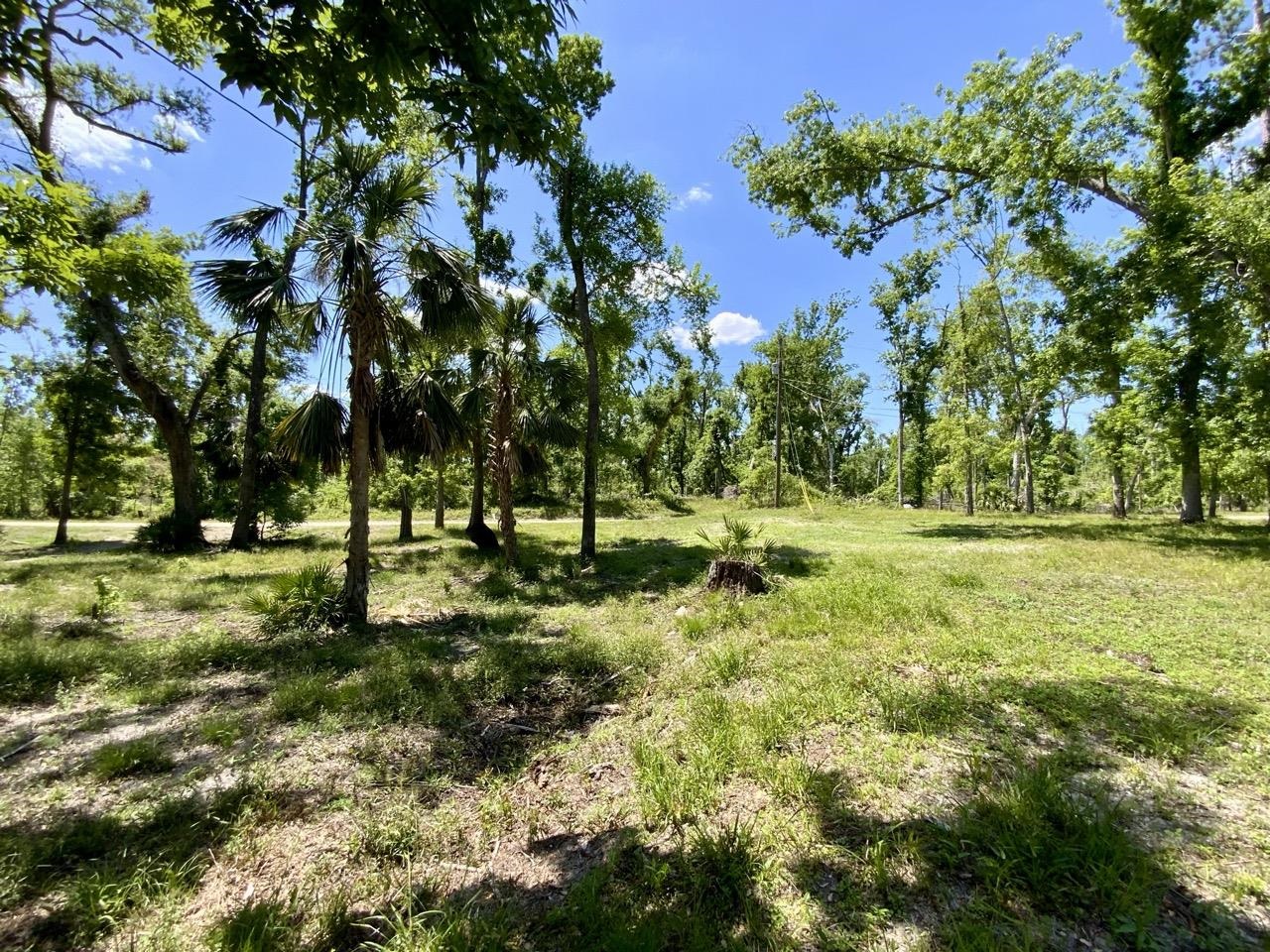 1903 SE Boundary Bend Trail, Lee, Florida image 2