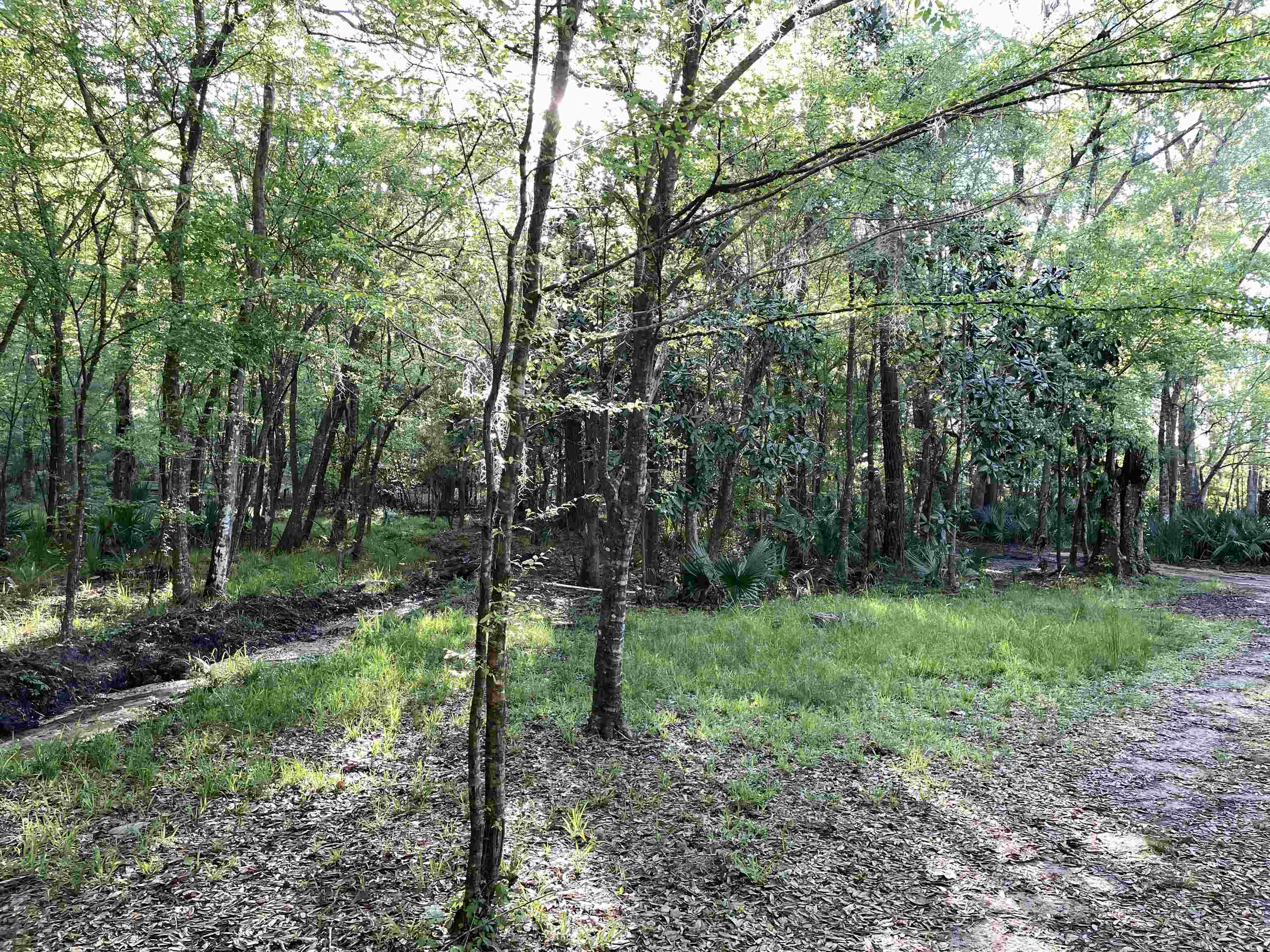 Mccook Road, Quincy, Florida image 10