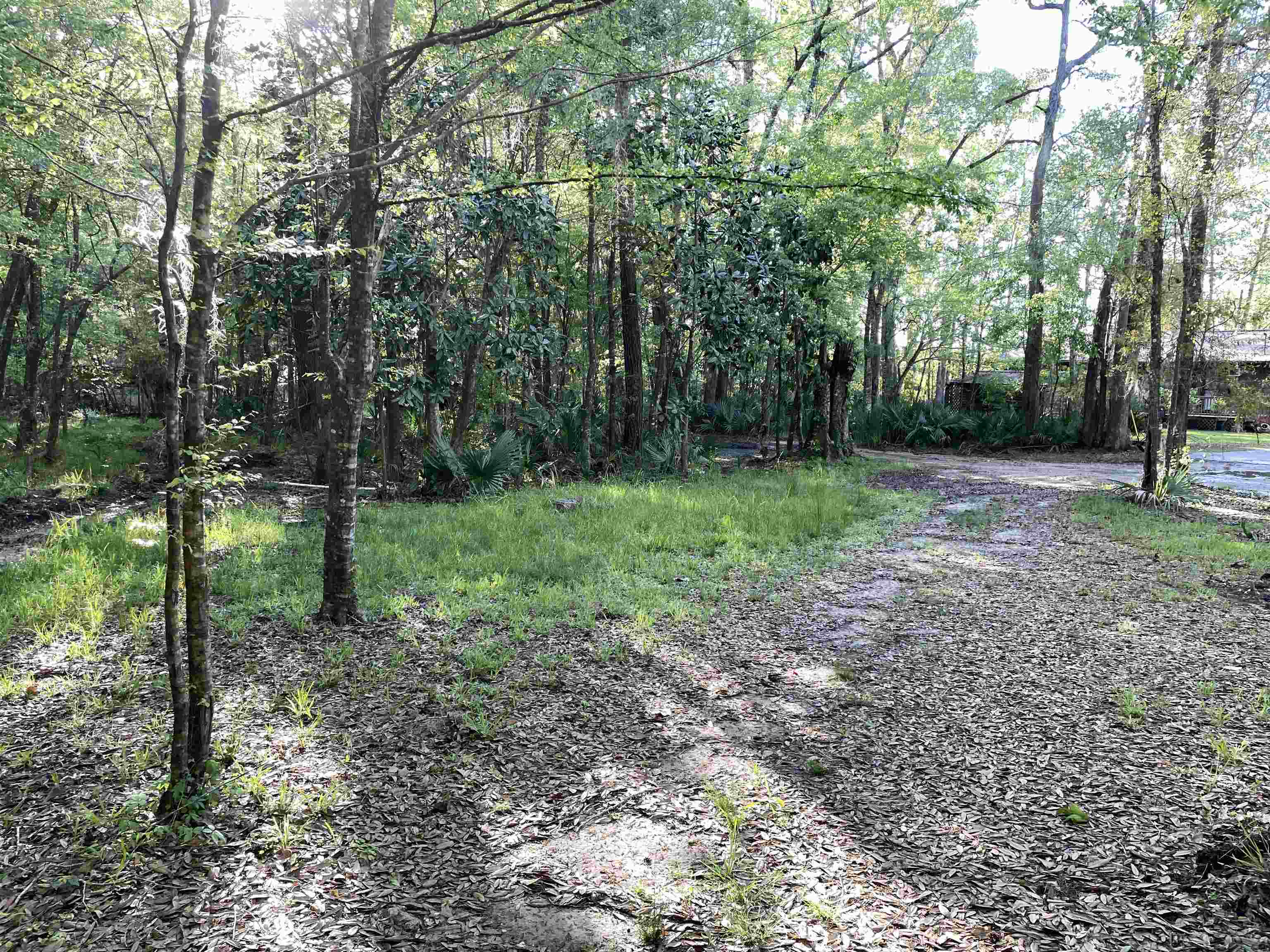 Mccook Road, Quincy, Florida image 11