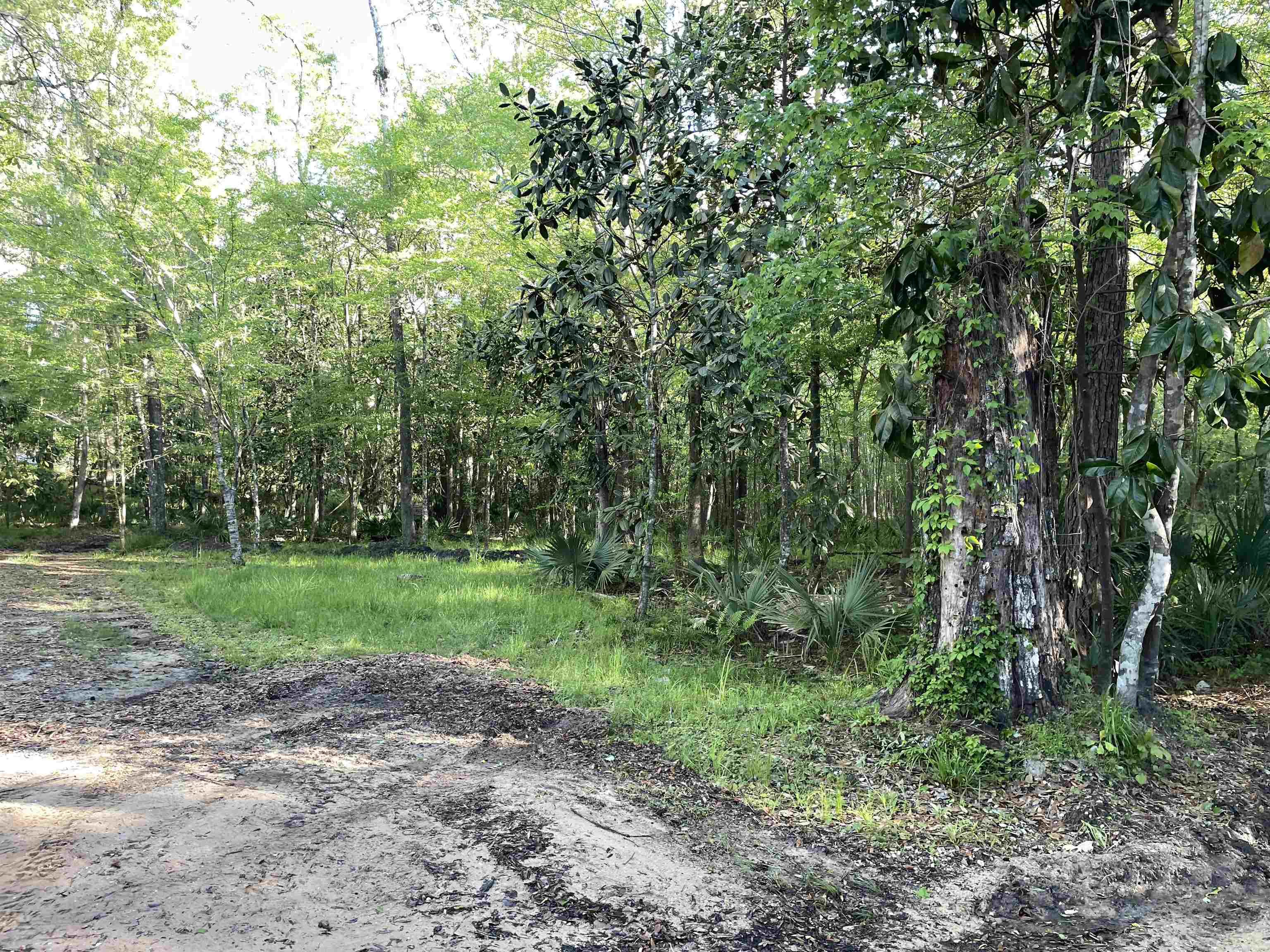 Mccook Road, Quincy, Florida image 14