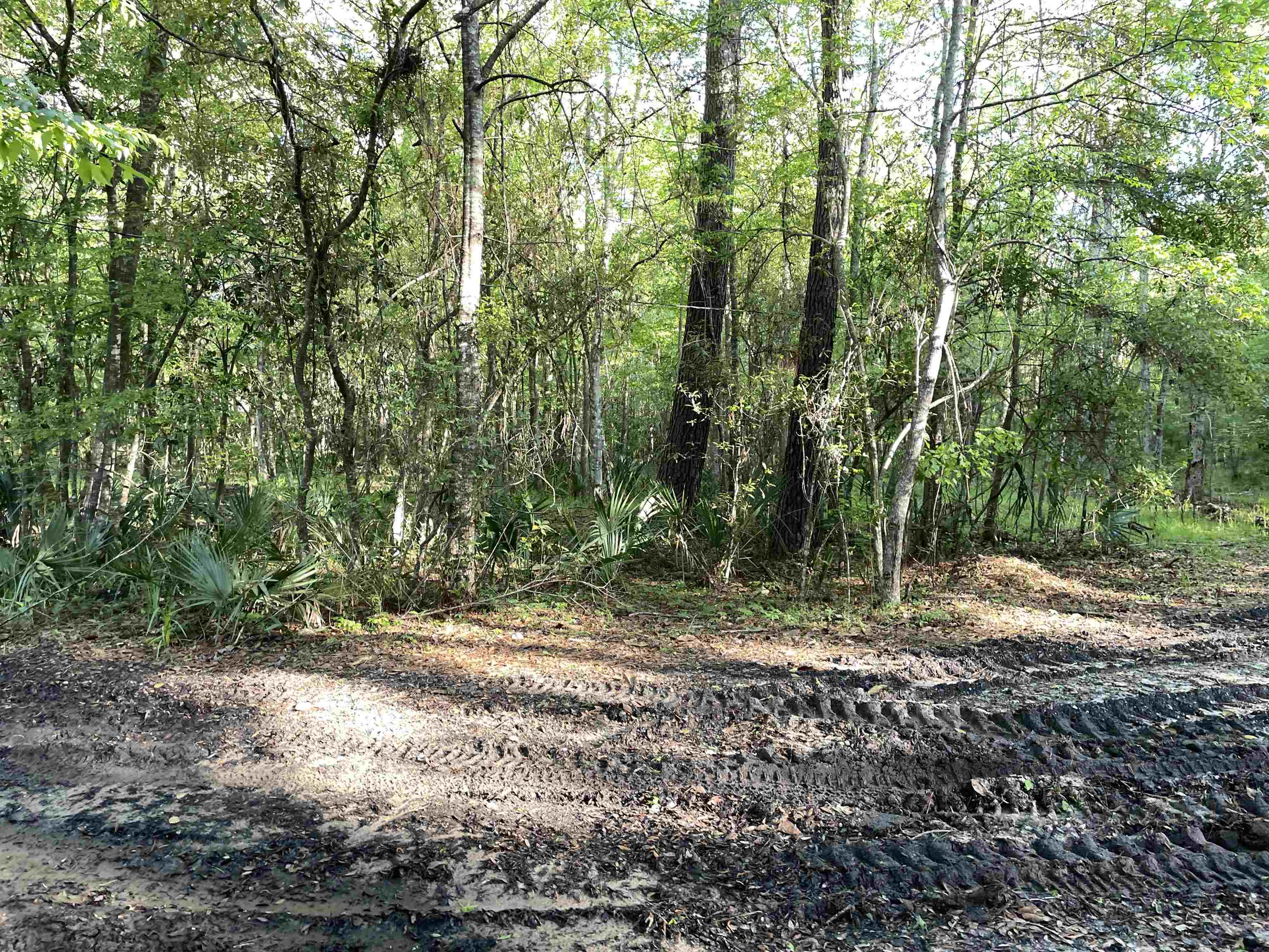 Mccook Road, Quincy, Florida image 18