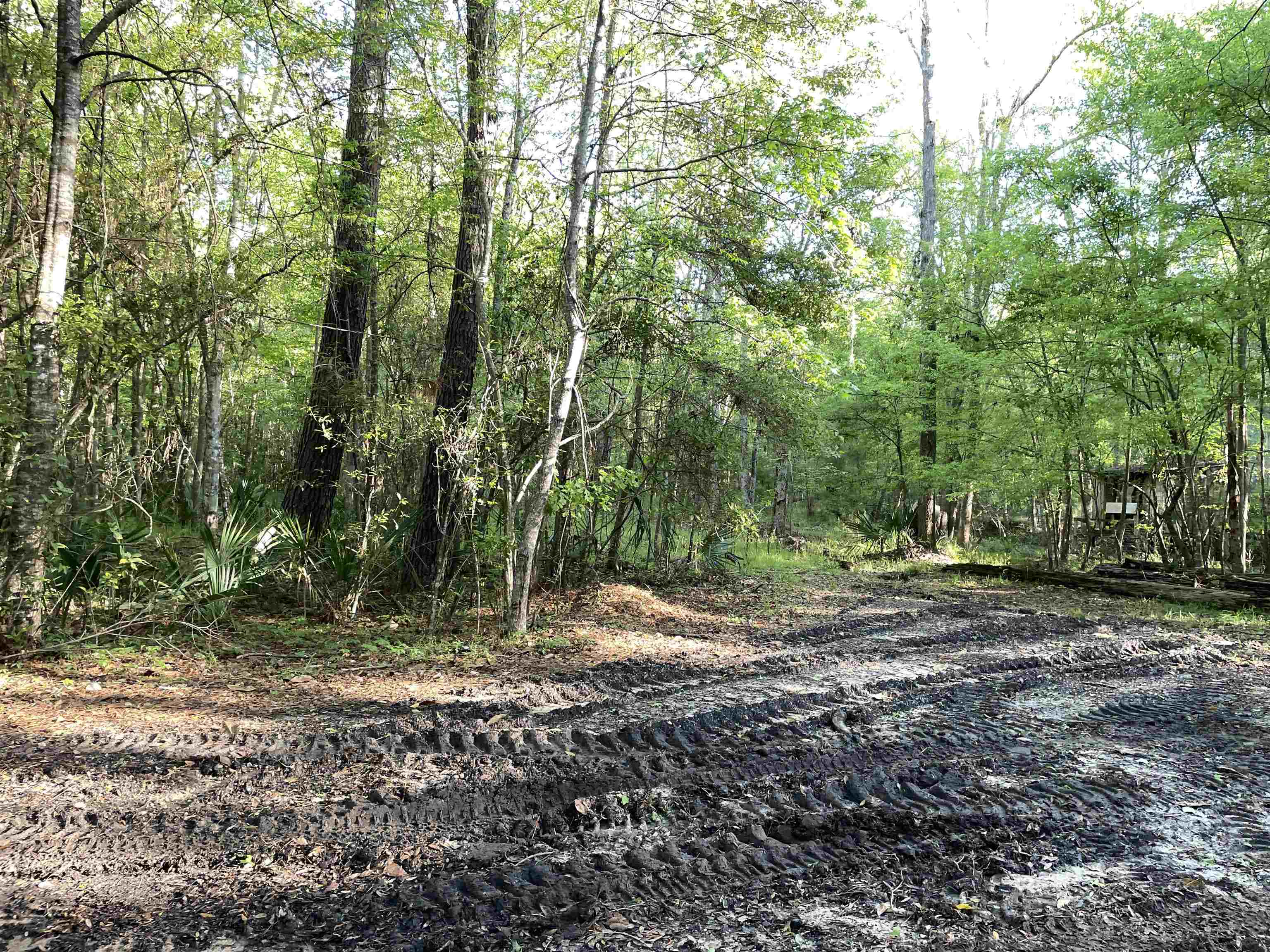 Mccook Road, Quincy, Florida image 19