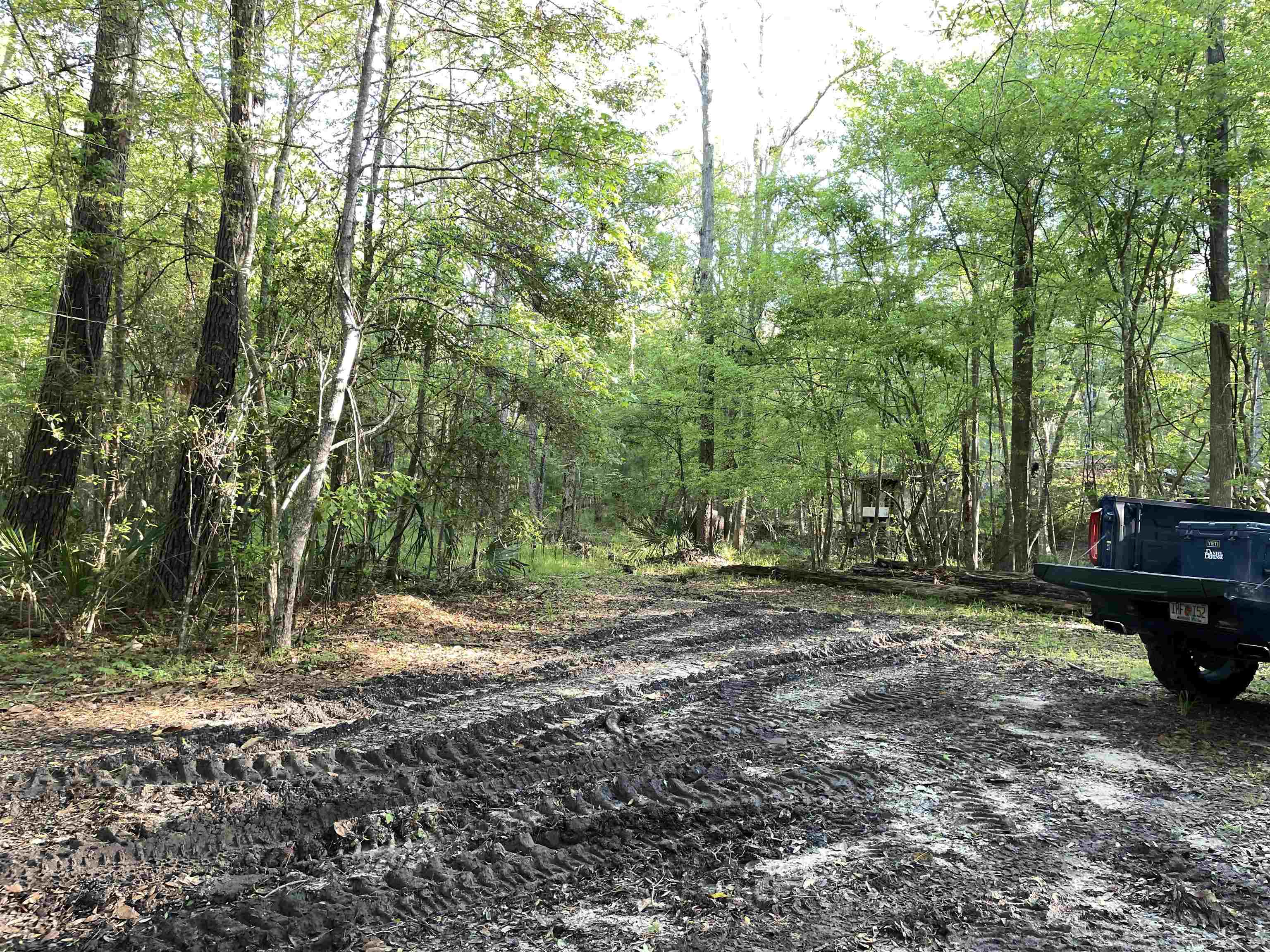 Mccook Road, Quincy, Florida image 20