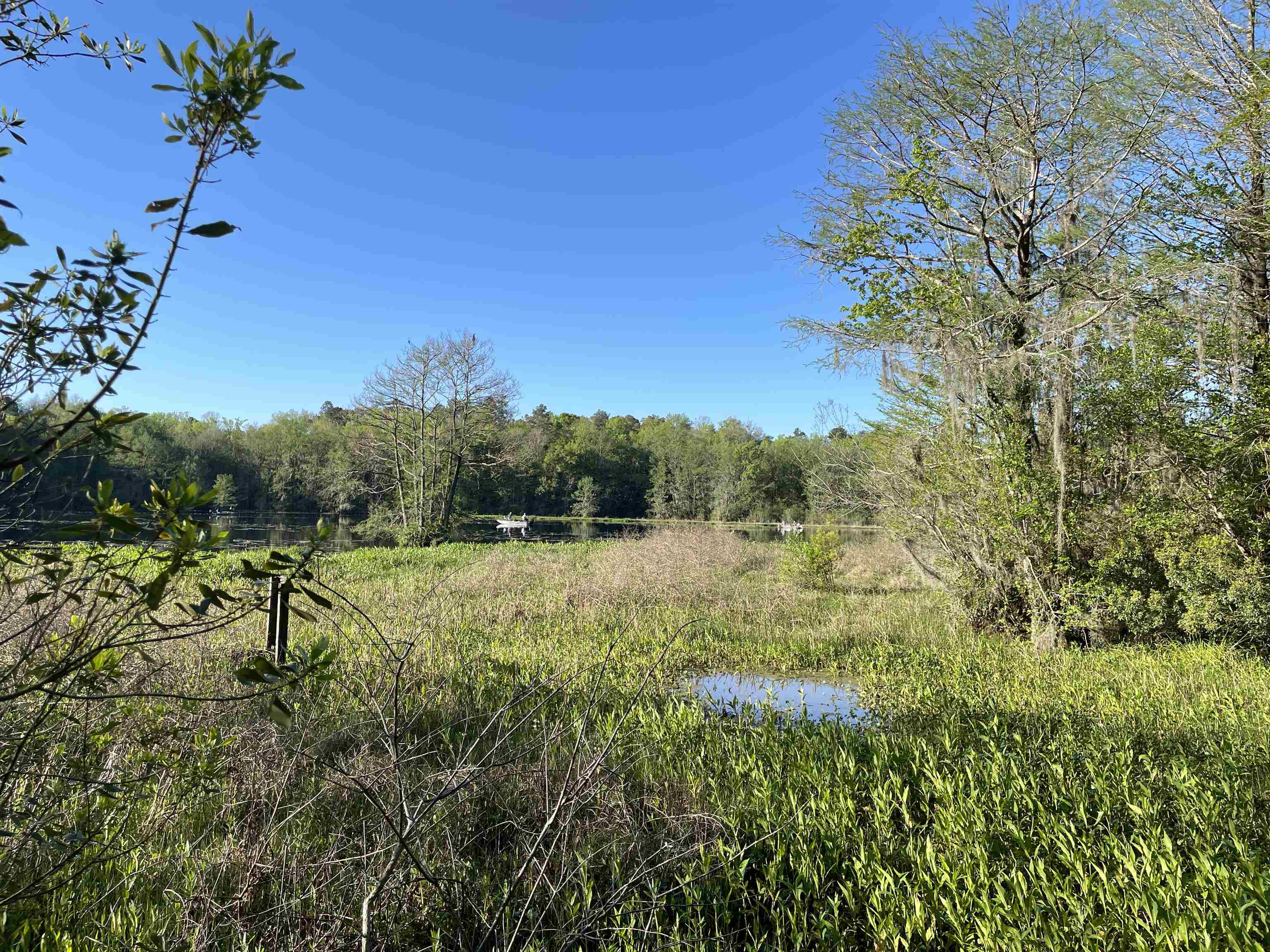 Mccook Road, Quincy, Florida image 24