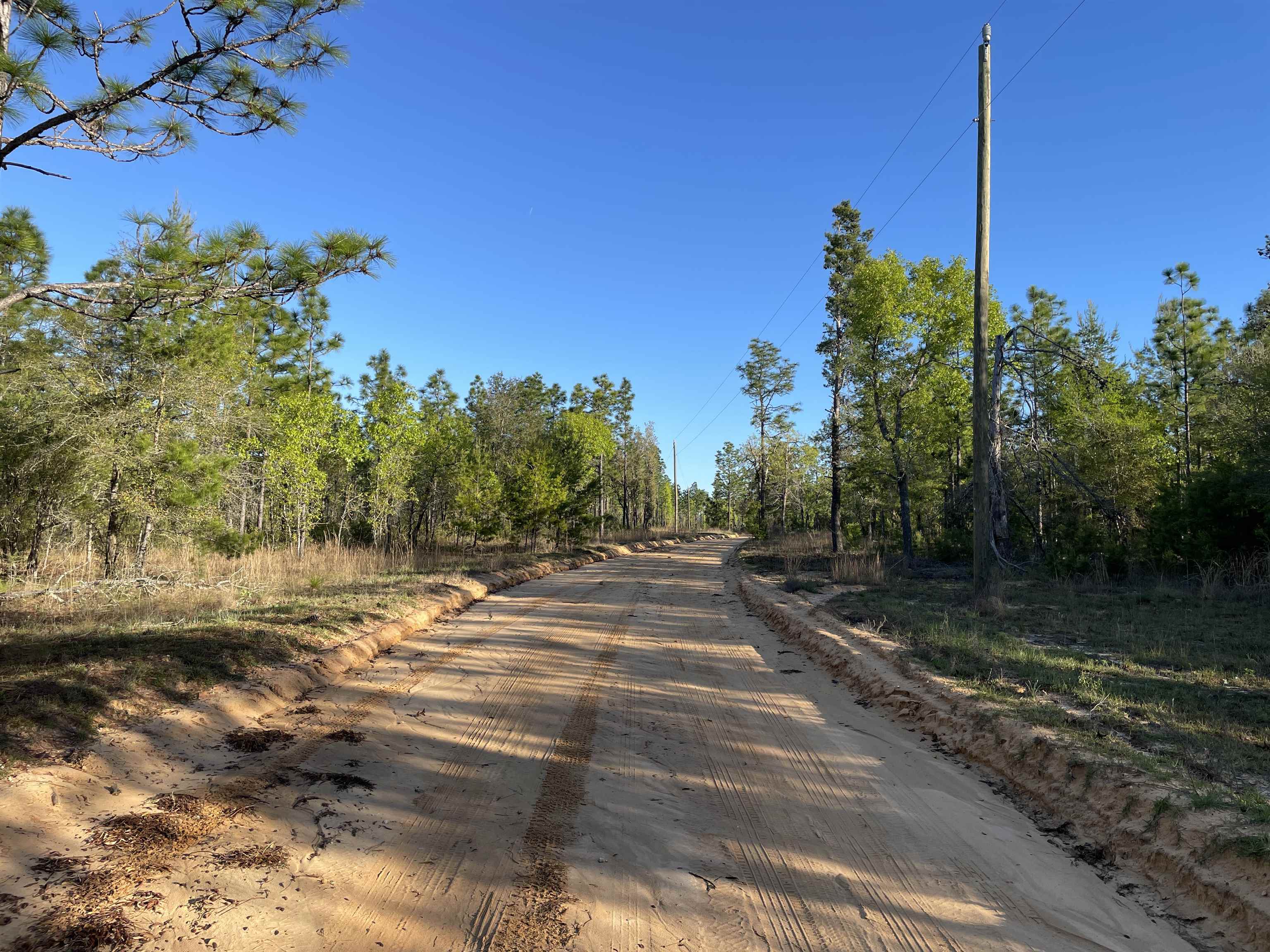 Mccook Road, Quincy, Florida image 6