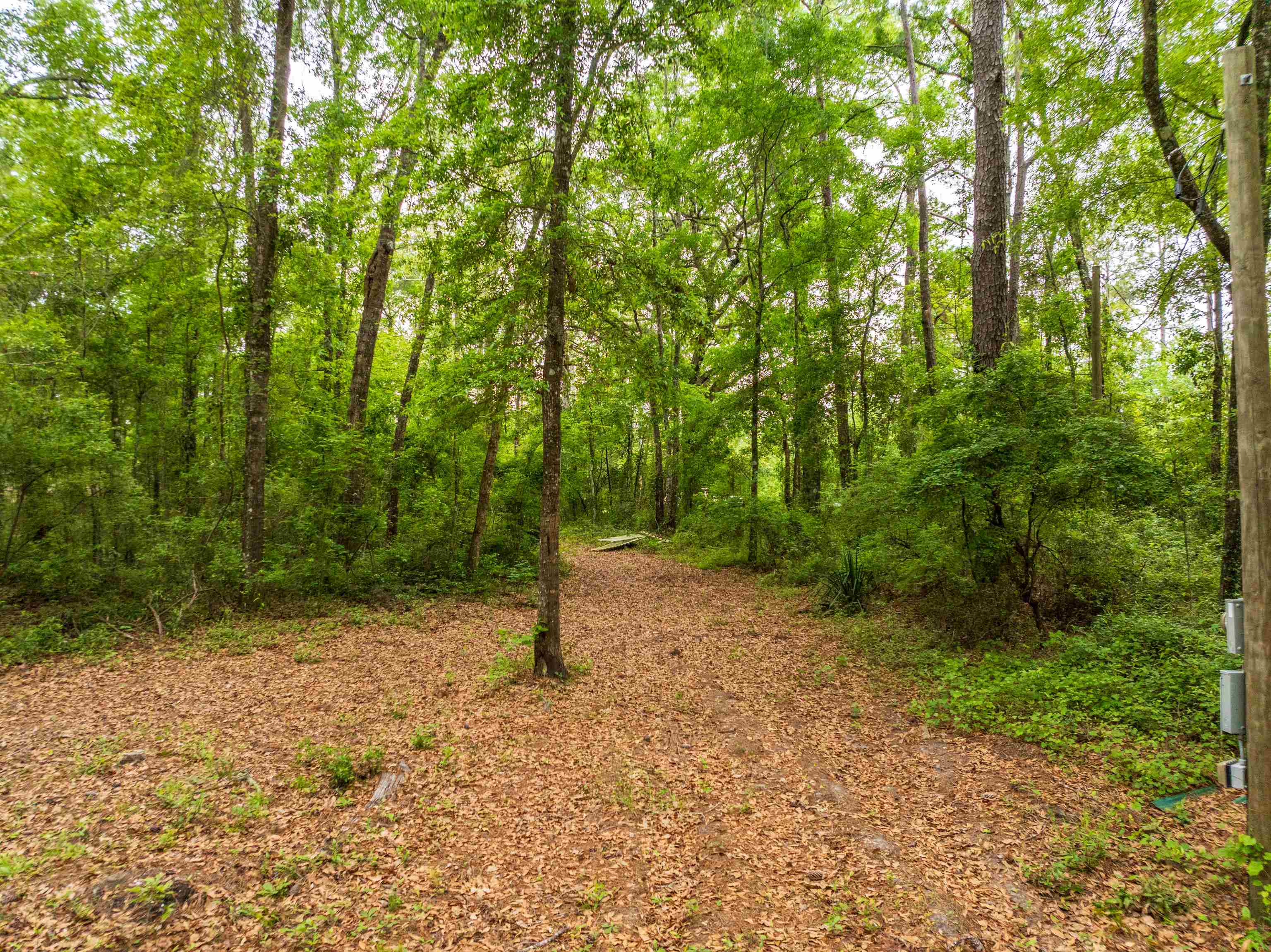 659 Blue Lake Road, Monticello, Florida image 6